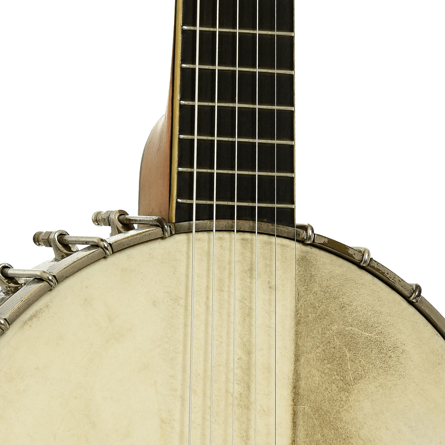 Vega Tubaphone Banjo-Guitar (1922) - Image 6
