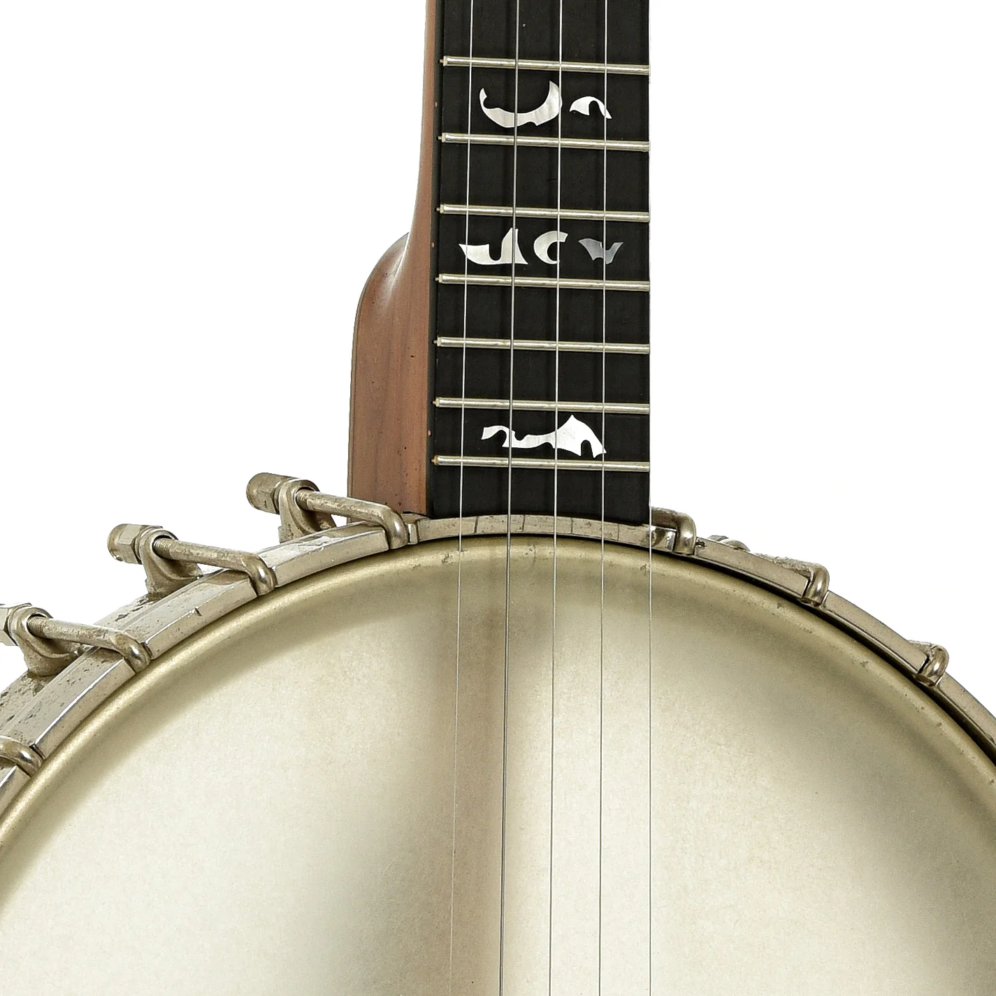 Vega Tubaphone Conversion Openback Banjo (1930) - Image 6