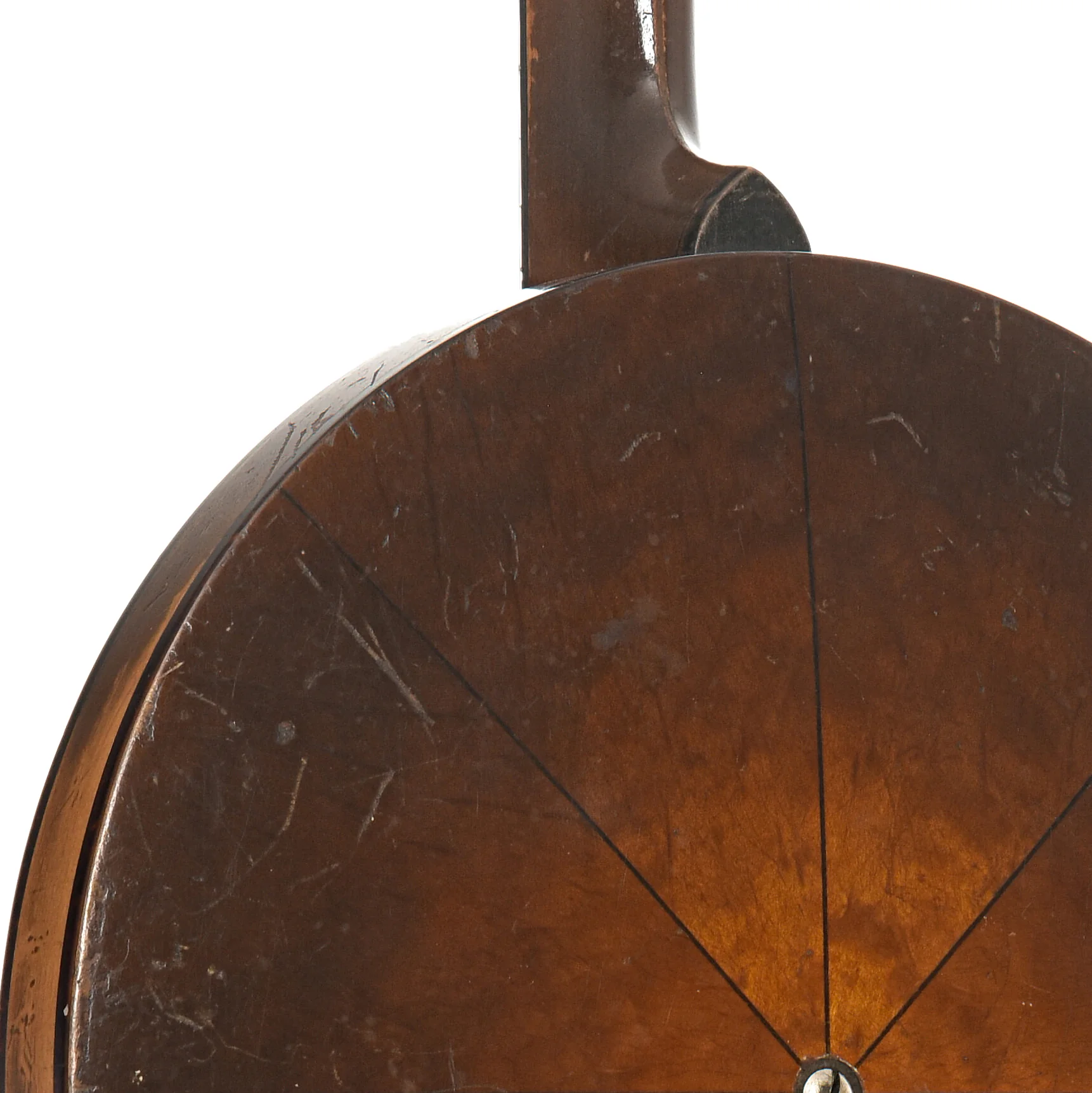 Vega Vegaphone Professional Tenor Banjo (1929) - Image 10