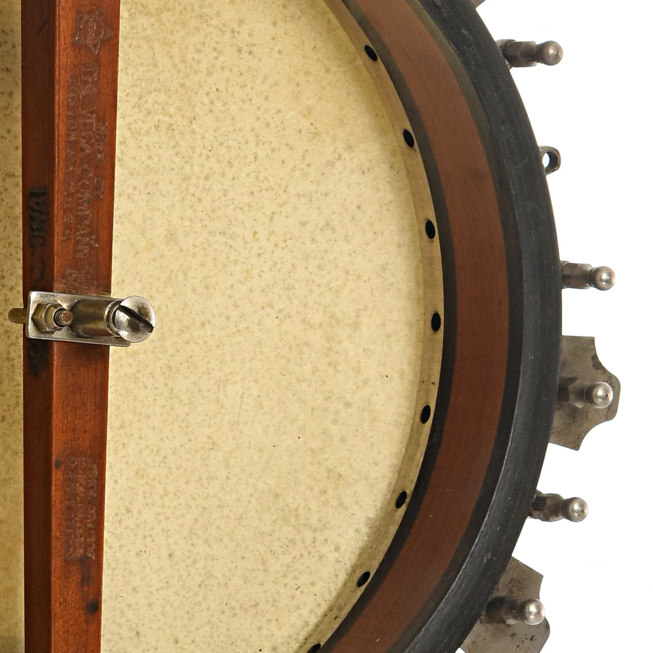Vega Vegaphone Professional Tenor Banjo (1929) - Image 14