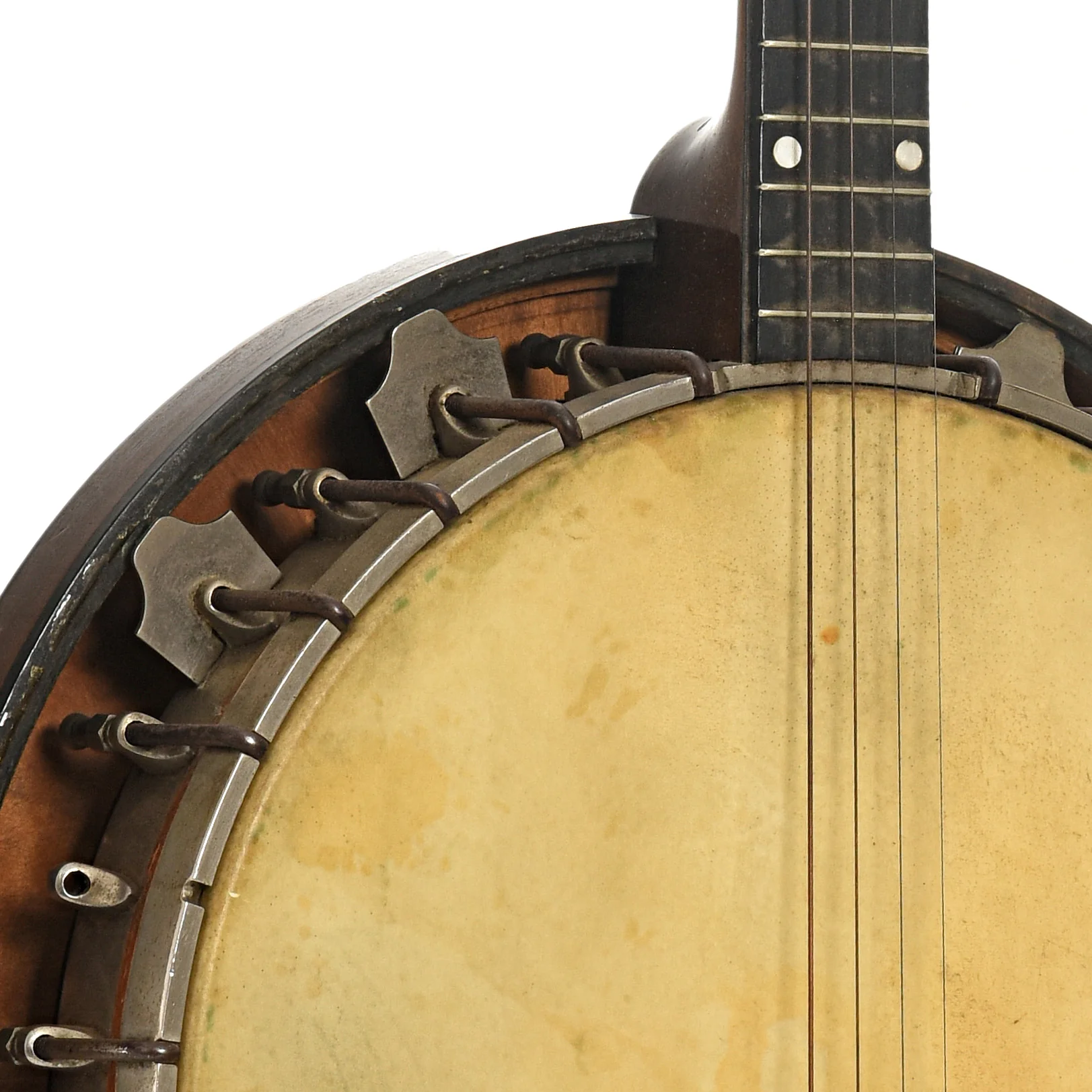 Vega Vegaphone Professional Tenor Banjo (1929) - Image 6