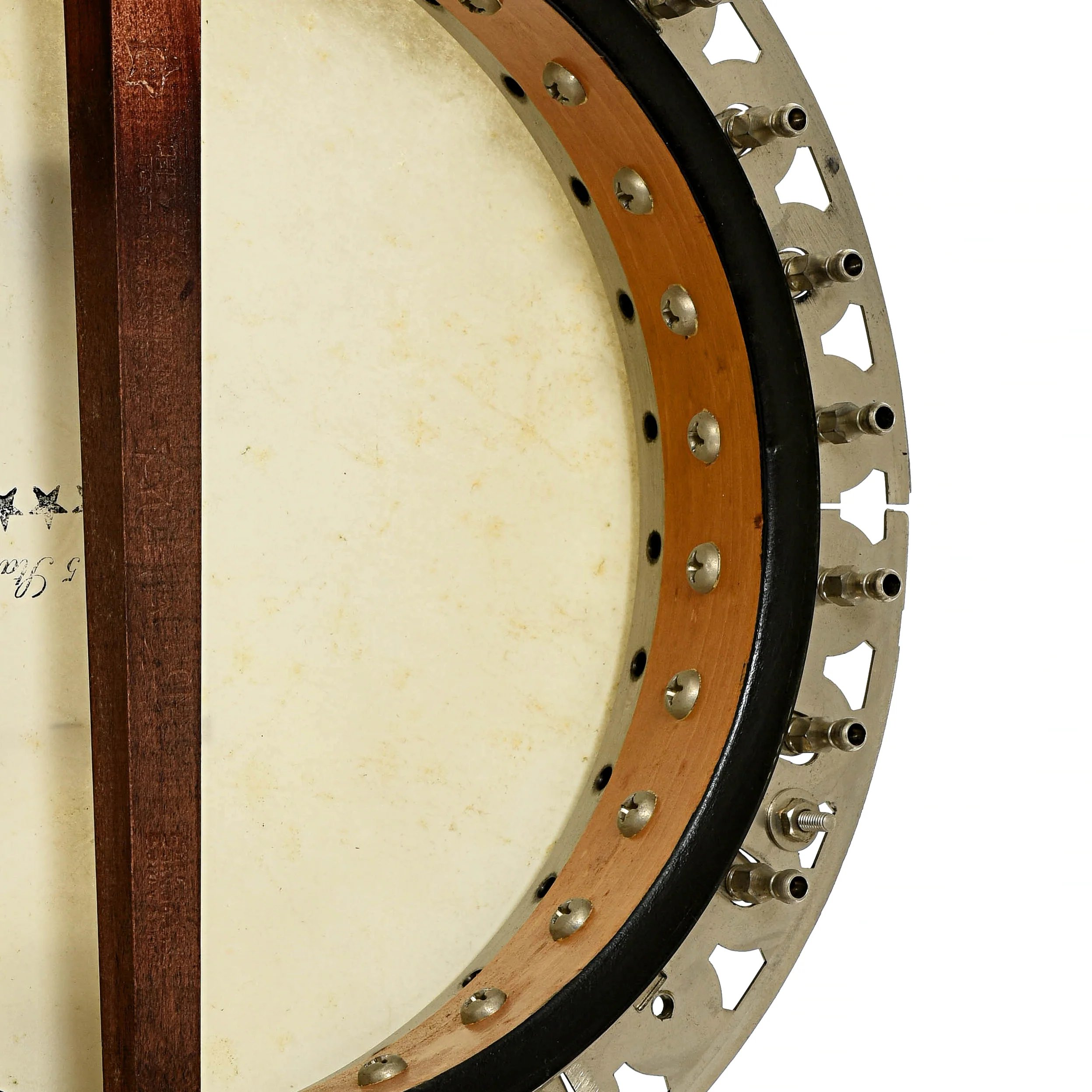 Vega Vegaphone Professional Tenor Banjo (c.1956) - Image 11