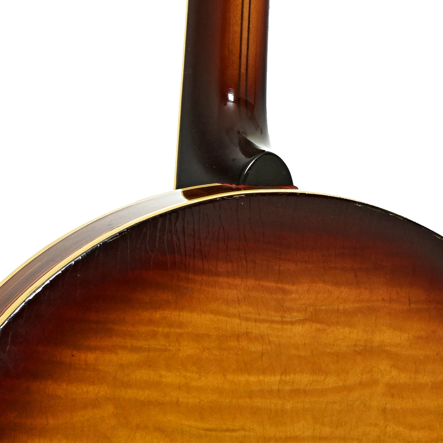 Vega Vegaphone Professional Tenor Banjo (c.1956) - Image 12