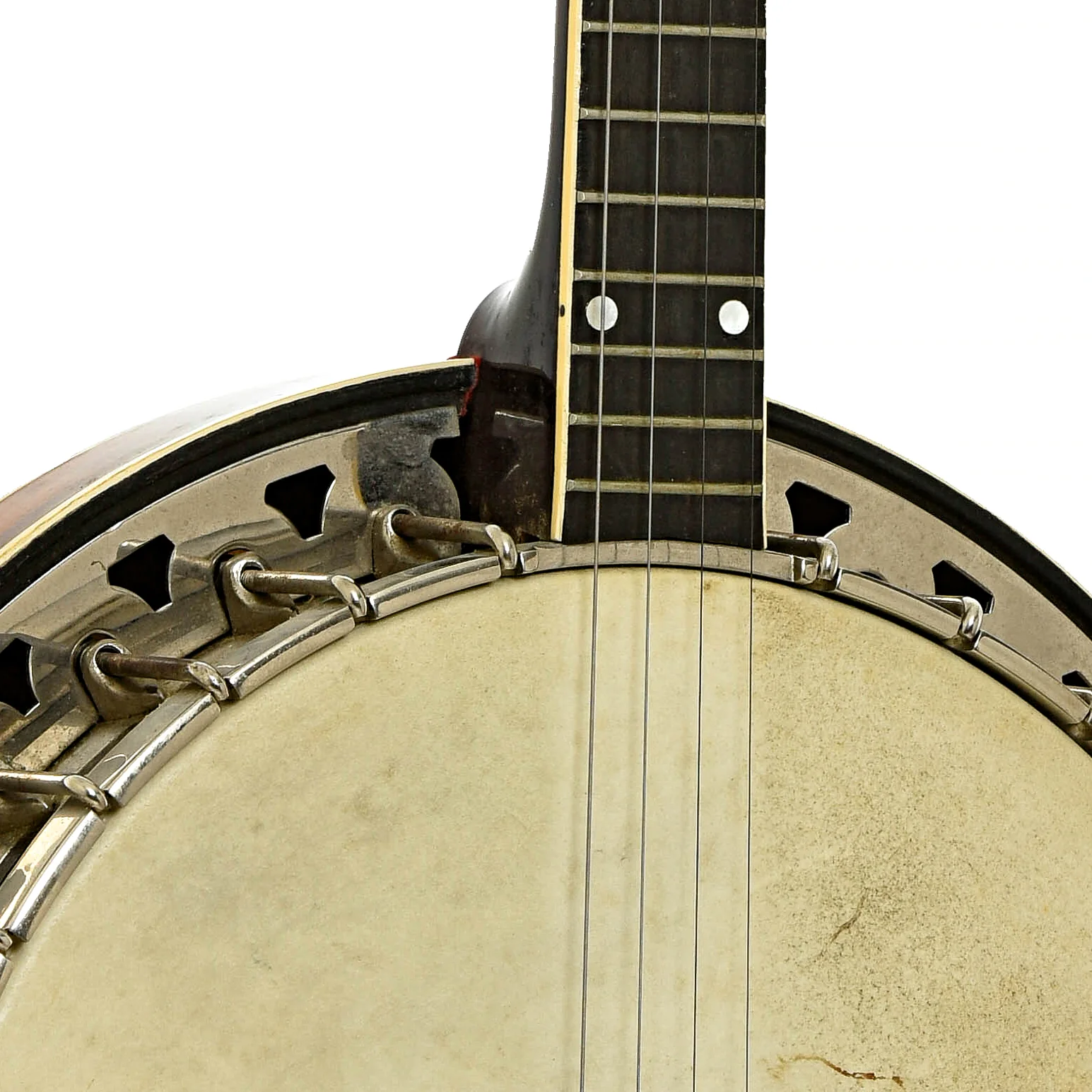 Vega Vegaphone Professional Tenor Banjo (c.1956) - Image 6