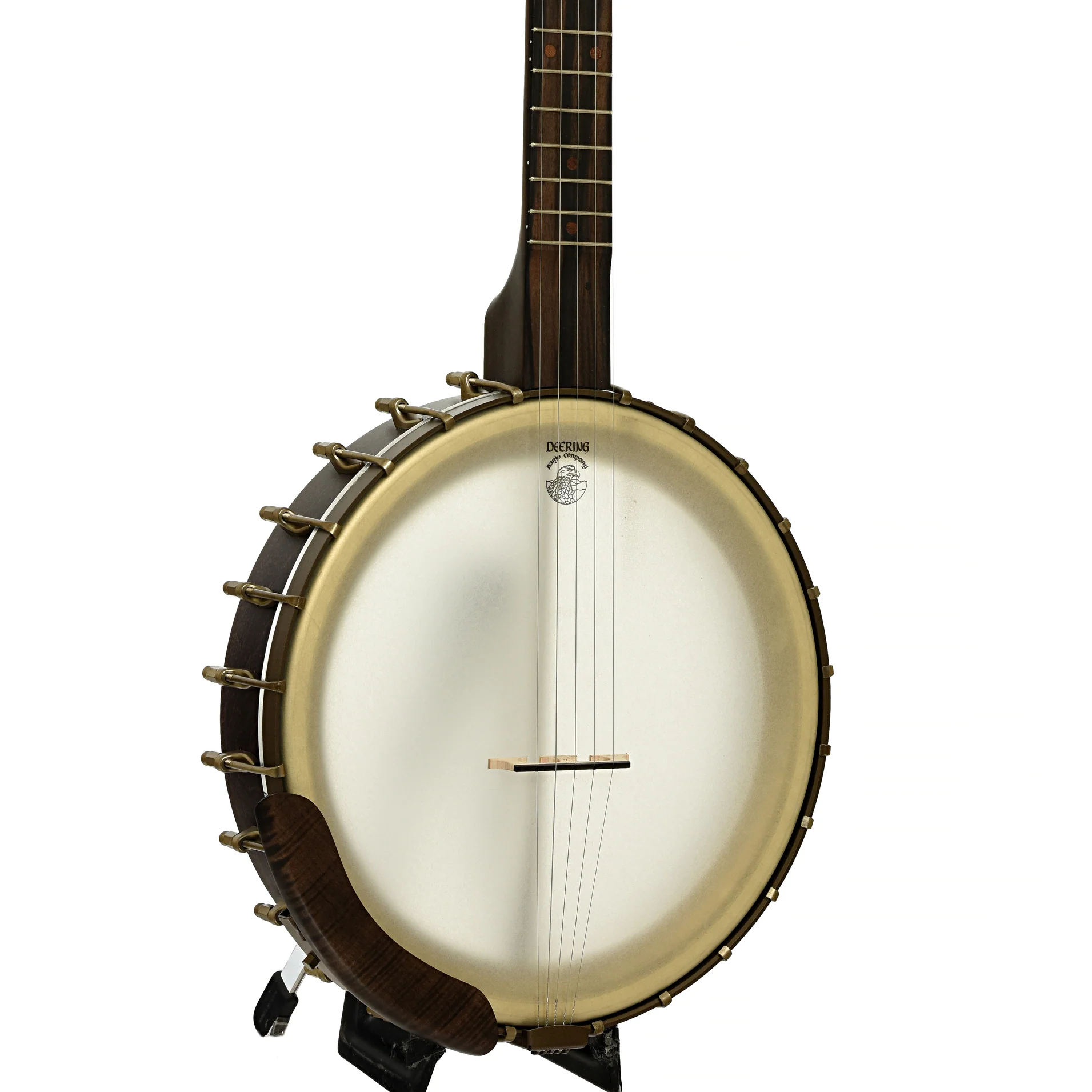 Deering Vega Vintage Star 12" Open Back Banjo (2022) - Image 2