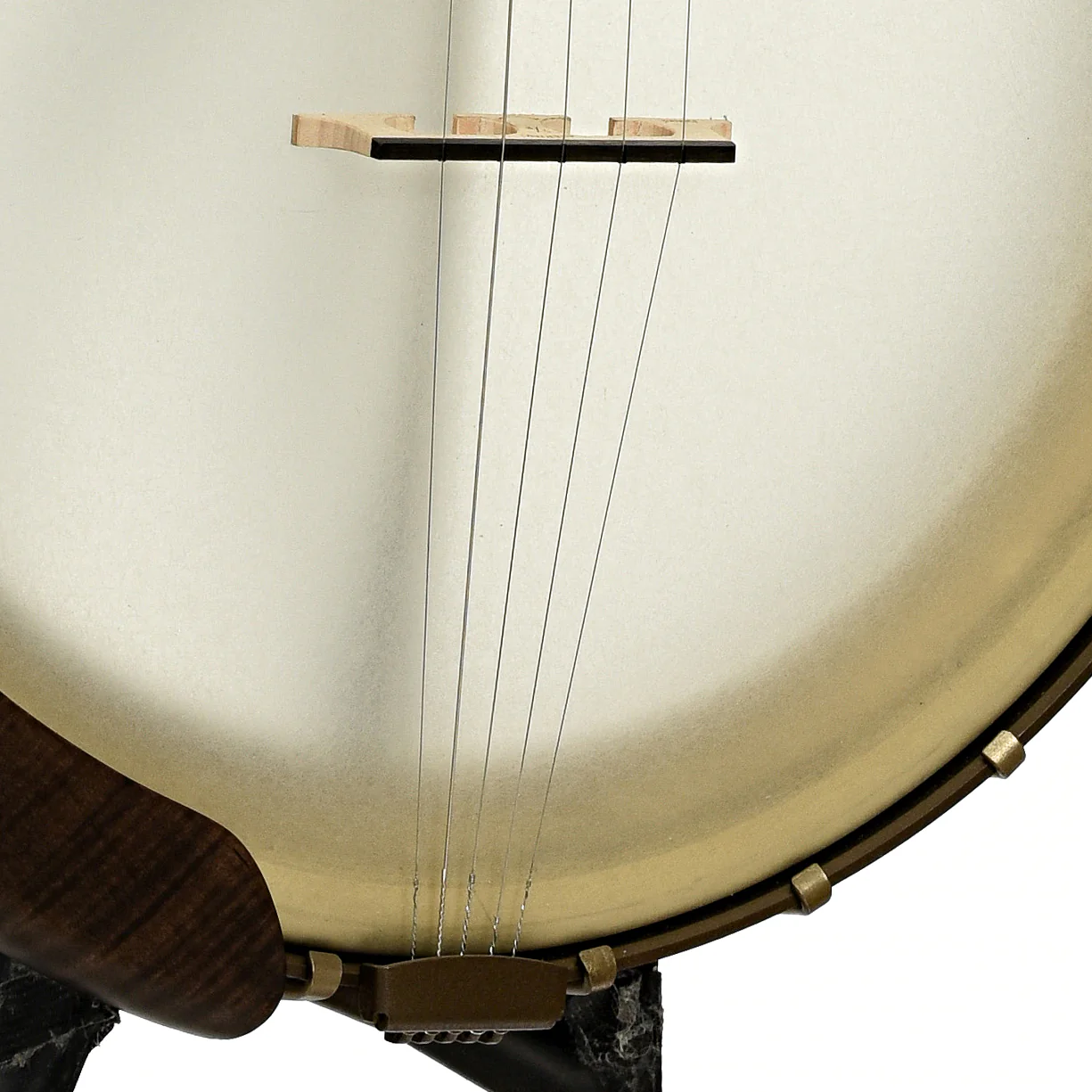Deering Vega Vintage Star 12" Open Back Banjo (2022) - Image 4