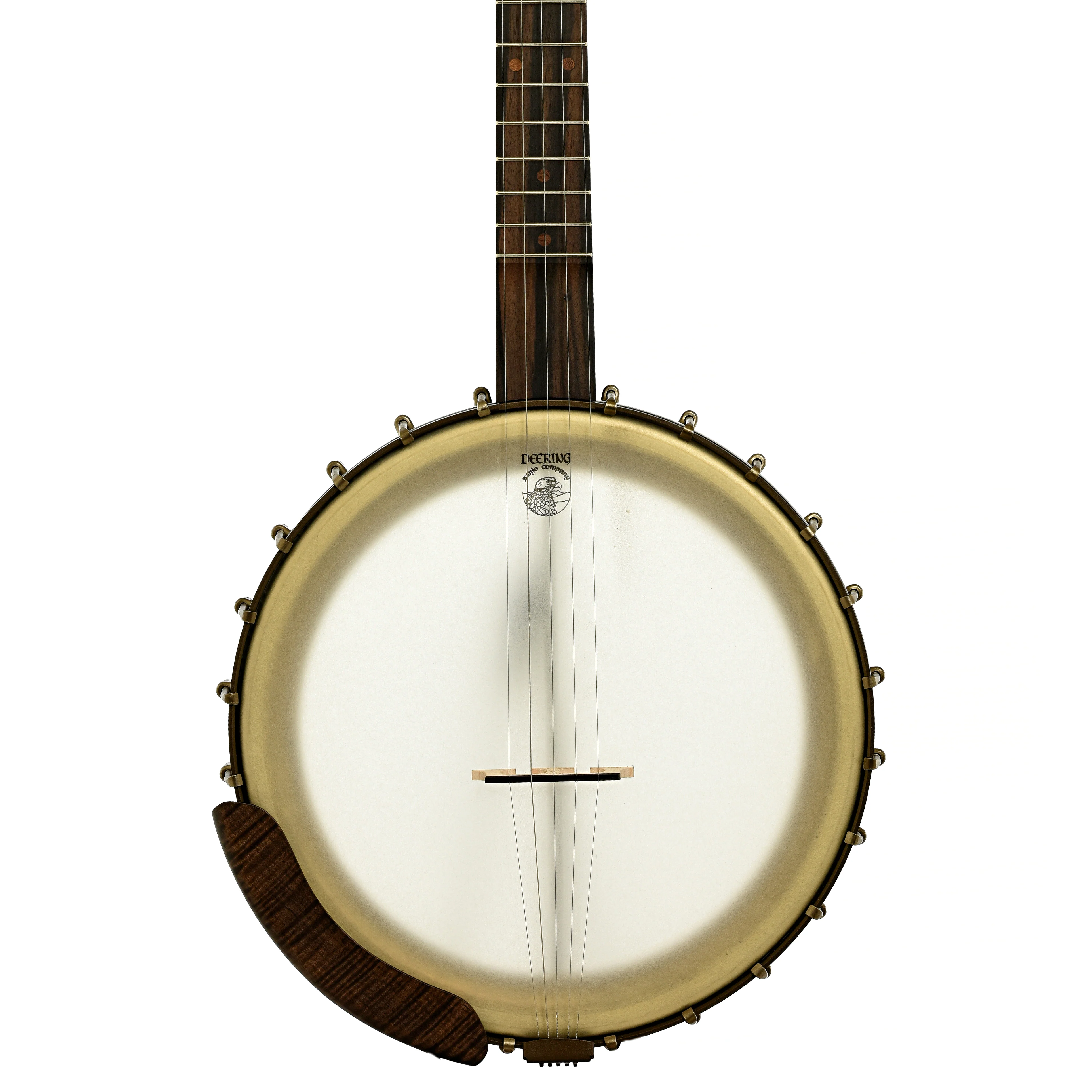 Deering Vega Vintage Star 12" Open Back Banjo (2022) - Image 5