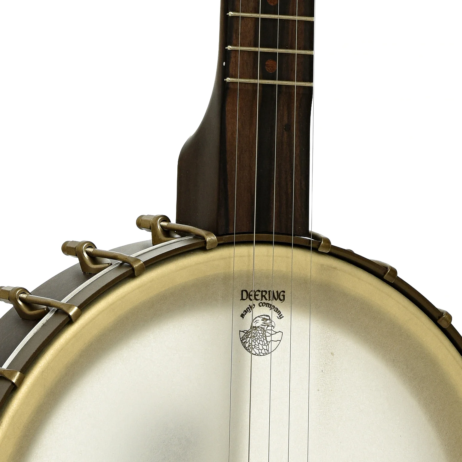 Deering Vega Vintage Star 12" Open Back Banjo (2022) - Image 6