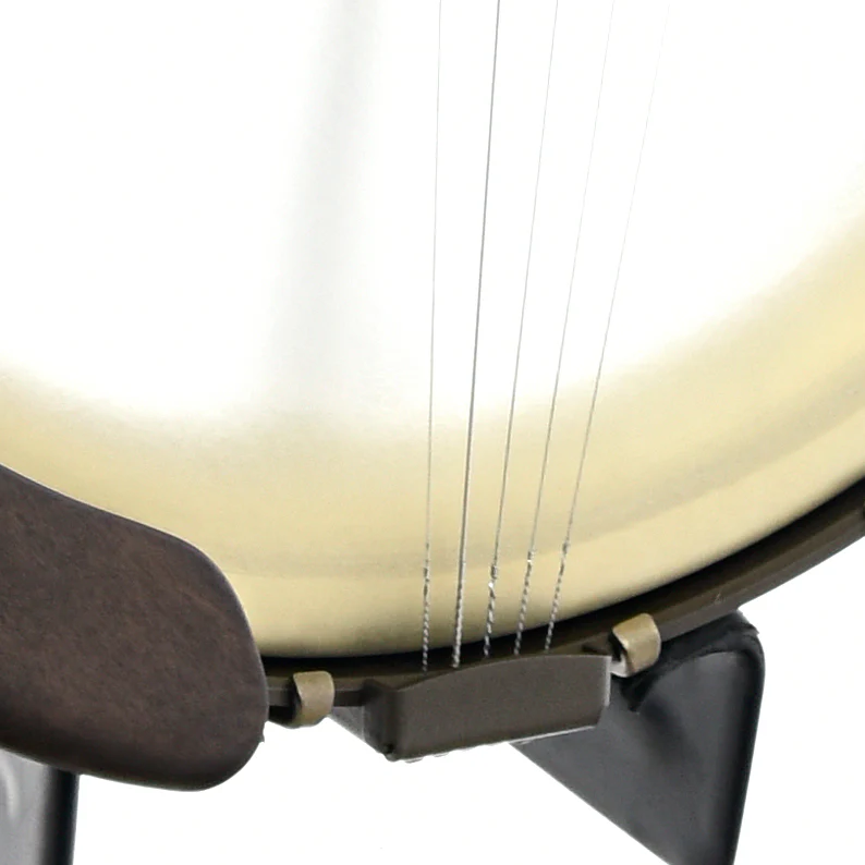 Vega Vintage Star Openback Banjo & Case, Maple - Image 5