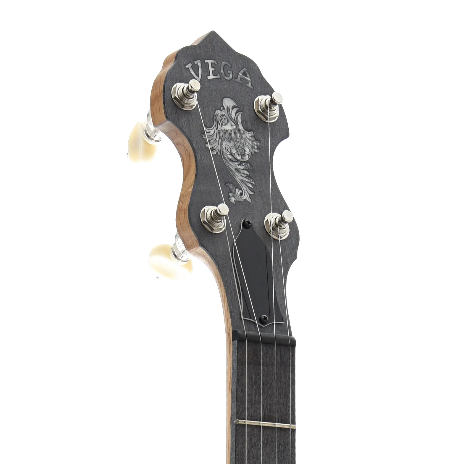 Vega White Oak Openback Banjo & Case, 11in - Image 8