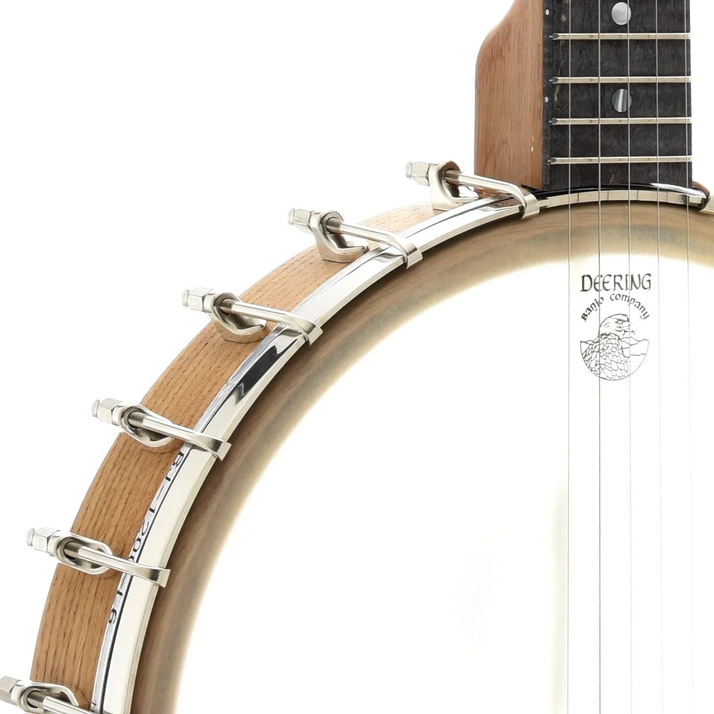 Vega White Oak Openback Banjo & Case, 12in - Image 5