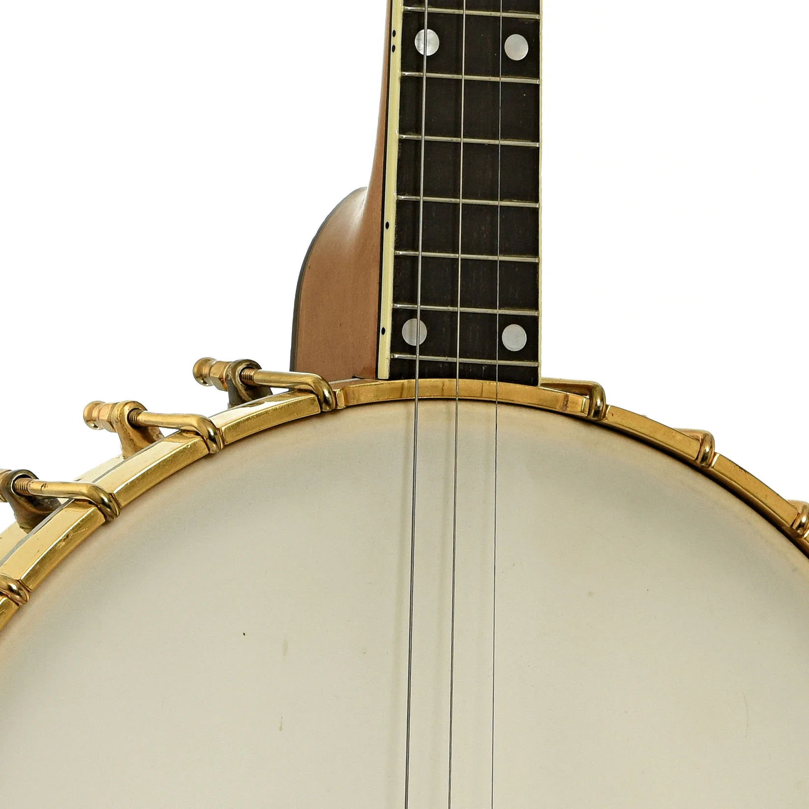 Vega Whyte Laydie Style R Tenor Banjo  (1922) - Image 6