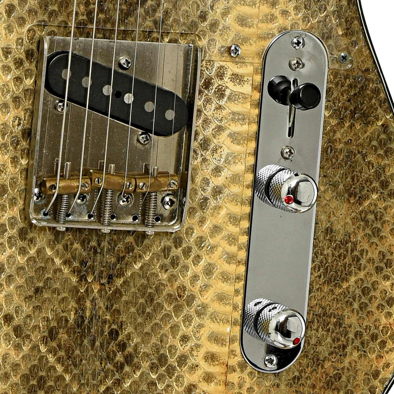 Wagner Snakeskin T Electric Guitar (recent) - Image 5