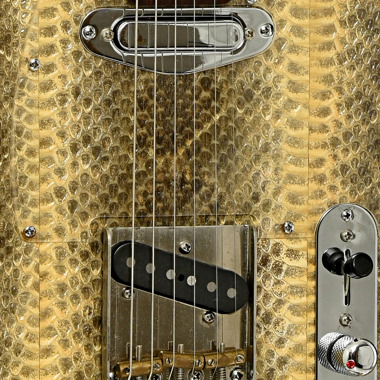 Wagner Snakeskin T Electric Guitar (recent) - Image 6
