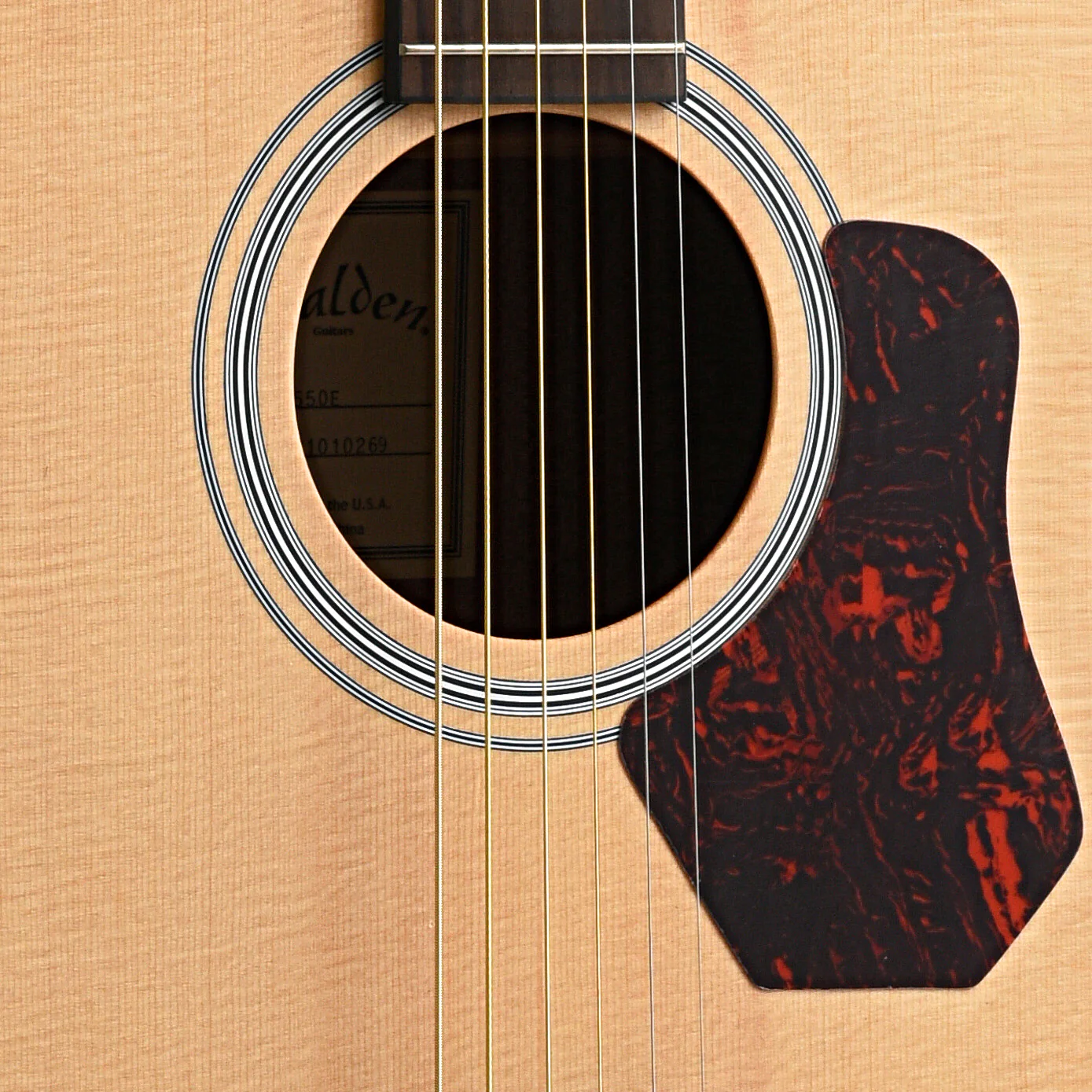 Walden Natura O550E Acoustic-Electric Guitar & Gigbag - Image 5