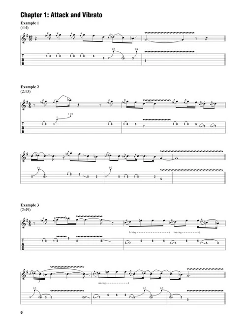 Warren Haynes – Electric Blues & Slide Guitar - Image 4