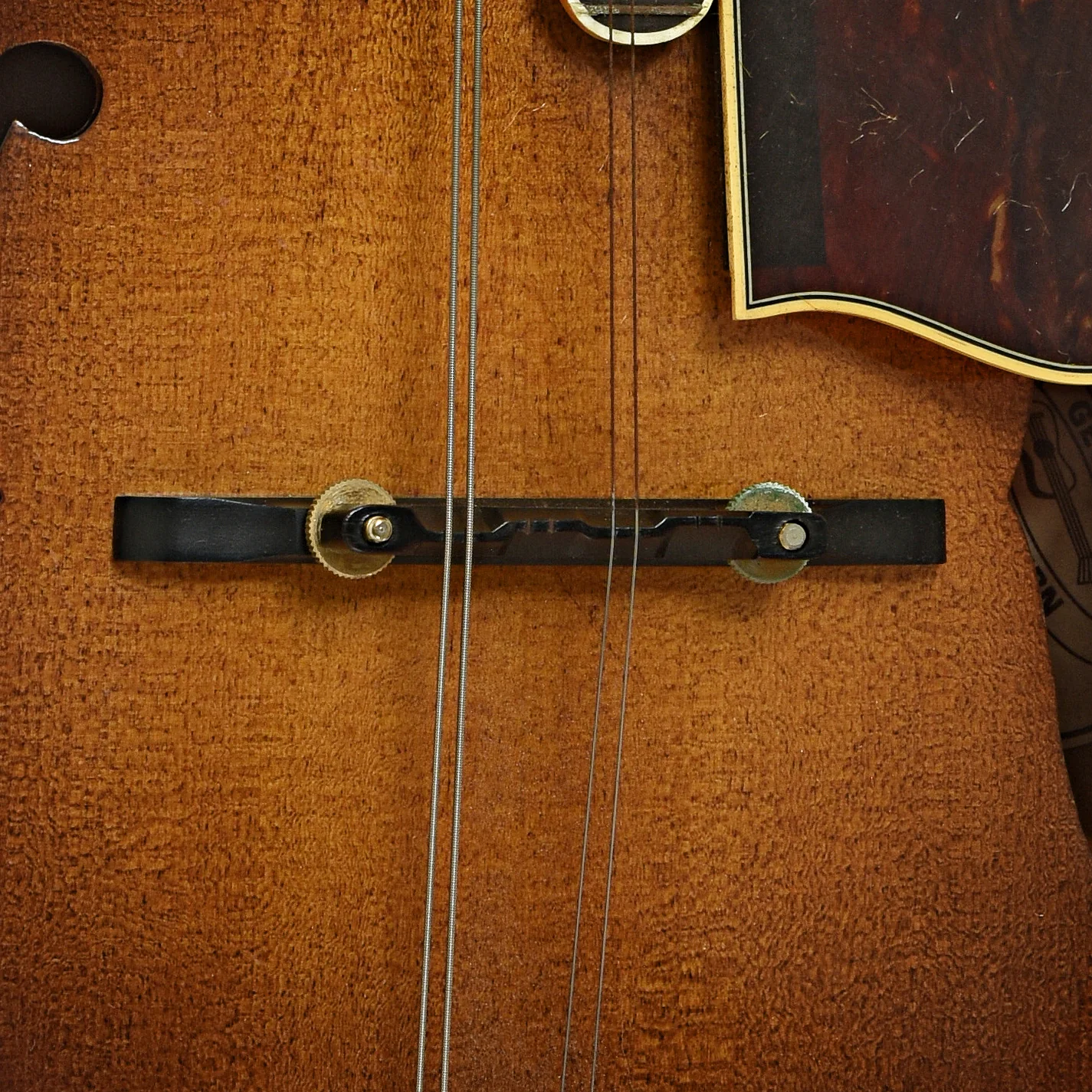 Washburn M-5S F-Style Mandolin (1970s) - Image 6