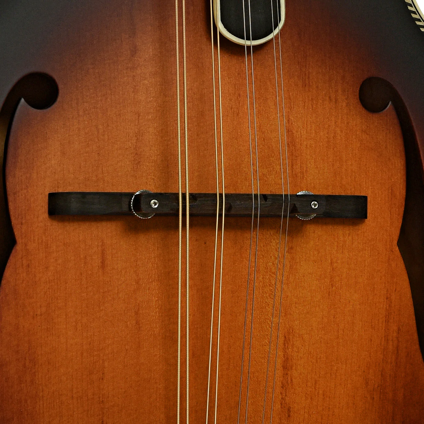 Washburn M3SE F-Style Acoustic-Electric Mandolin - Image 6