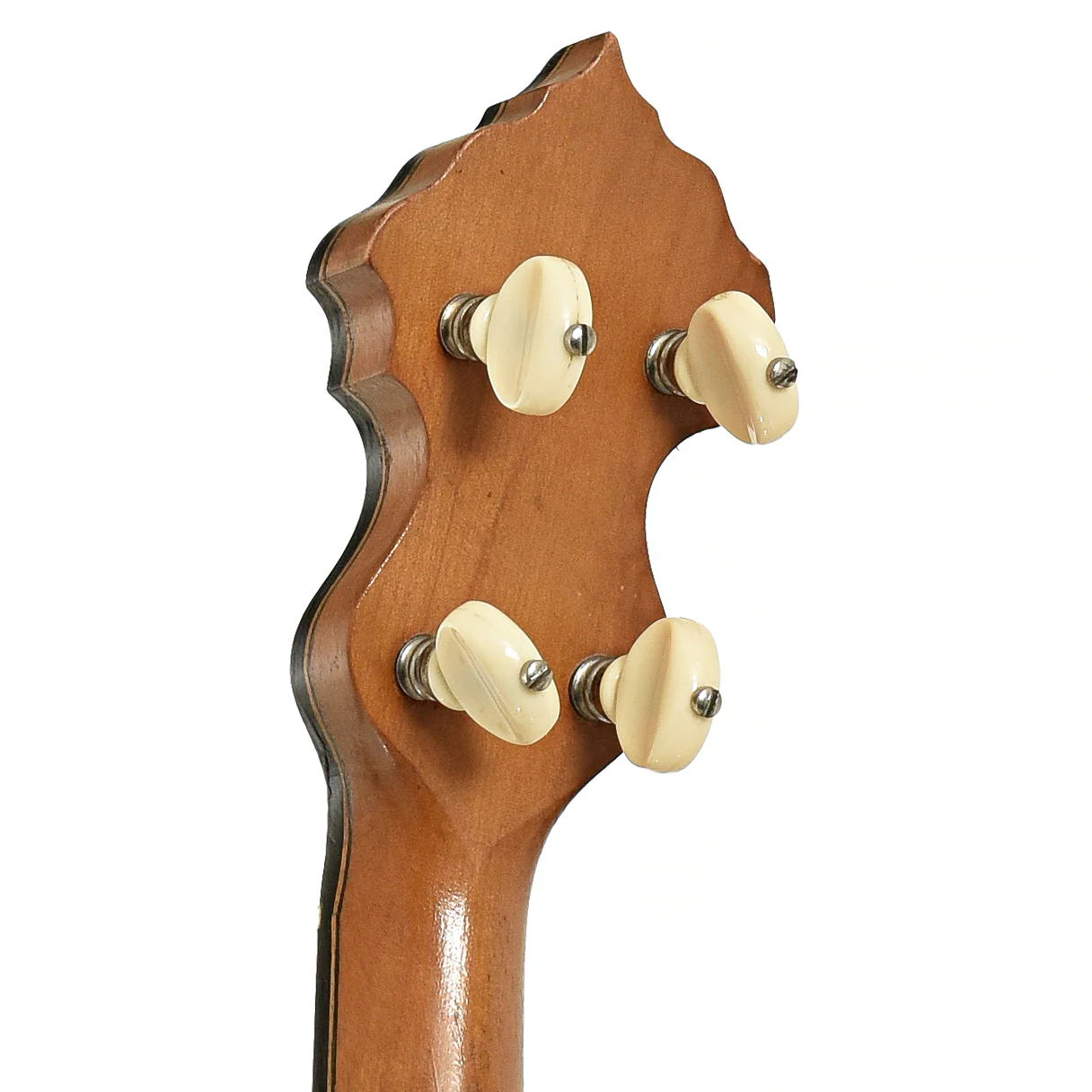 Washburn Model 1025 Openback Banjo (c.1910) - Image 9