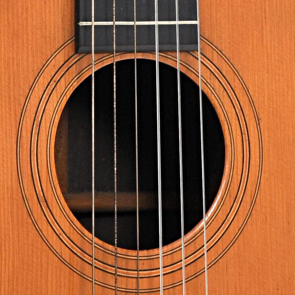 Washburn Style 102 Parlor Guitar (c.1887) - Image 6
