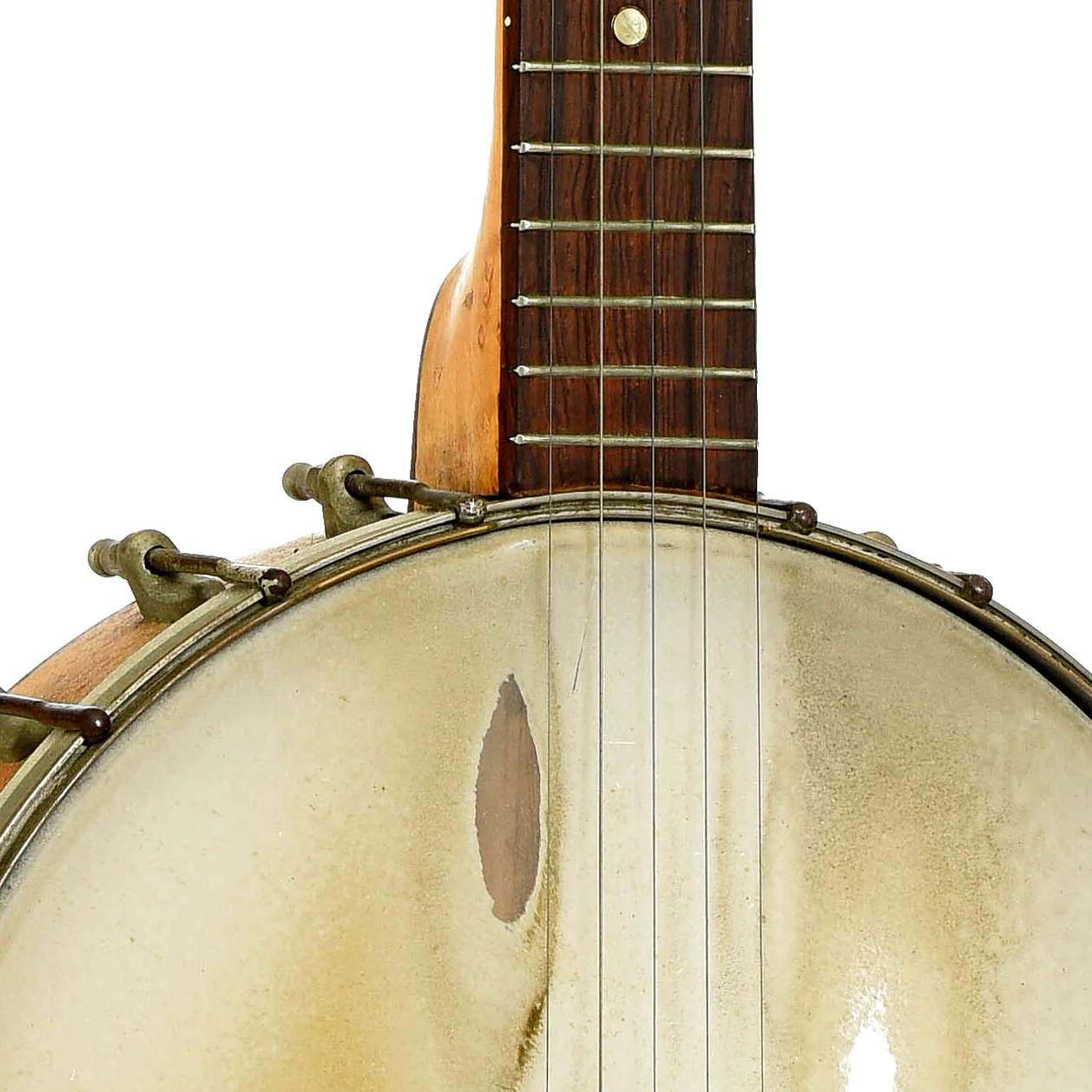 Washburn Style 650 Conversion Extra Longneck Openback Banjo (c.1925) - Image 6