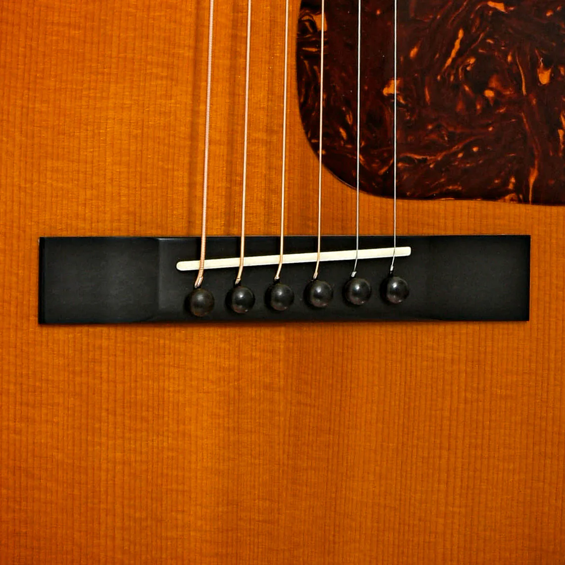 Waterloo WL-JK Deluxe Acoustic Guitar (2017) - Image 5