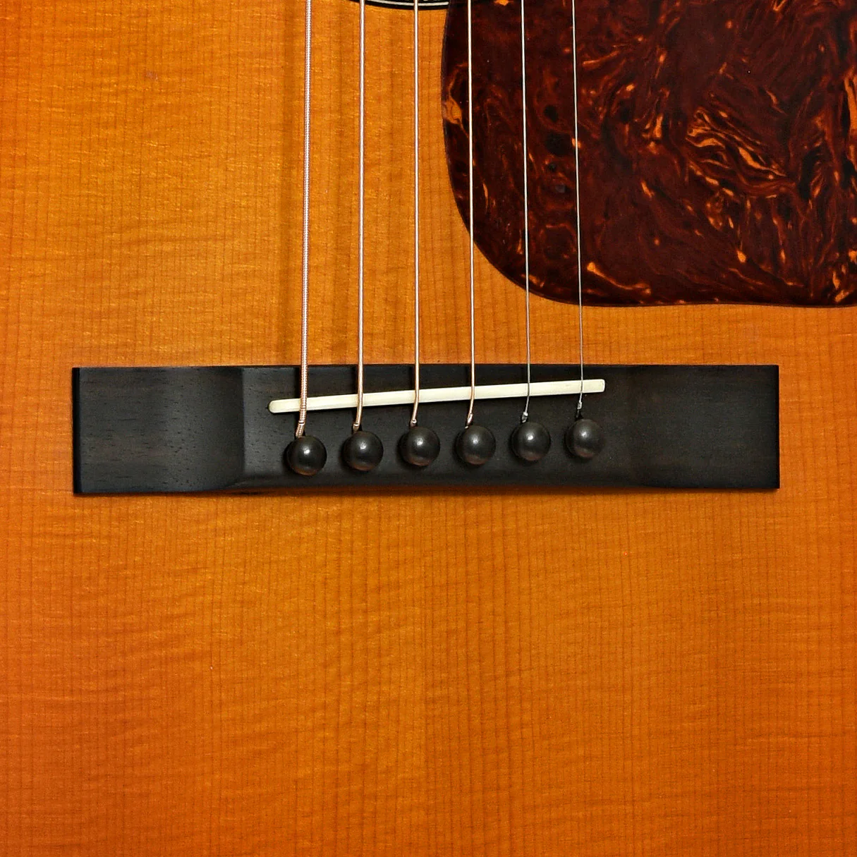 Waterloo WL-JK Acoustic Guitar (2010's) - Image 5