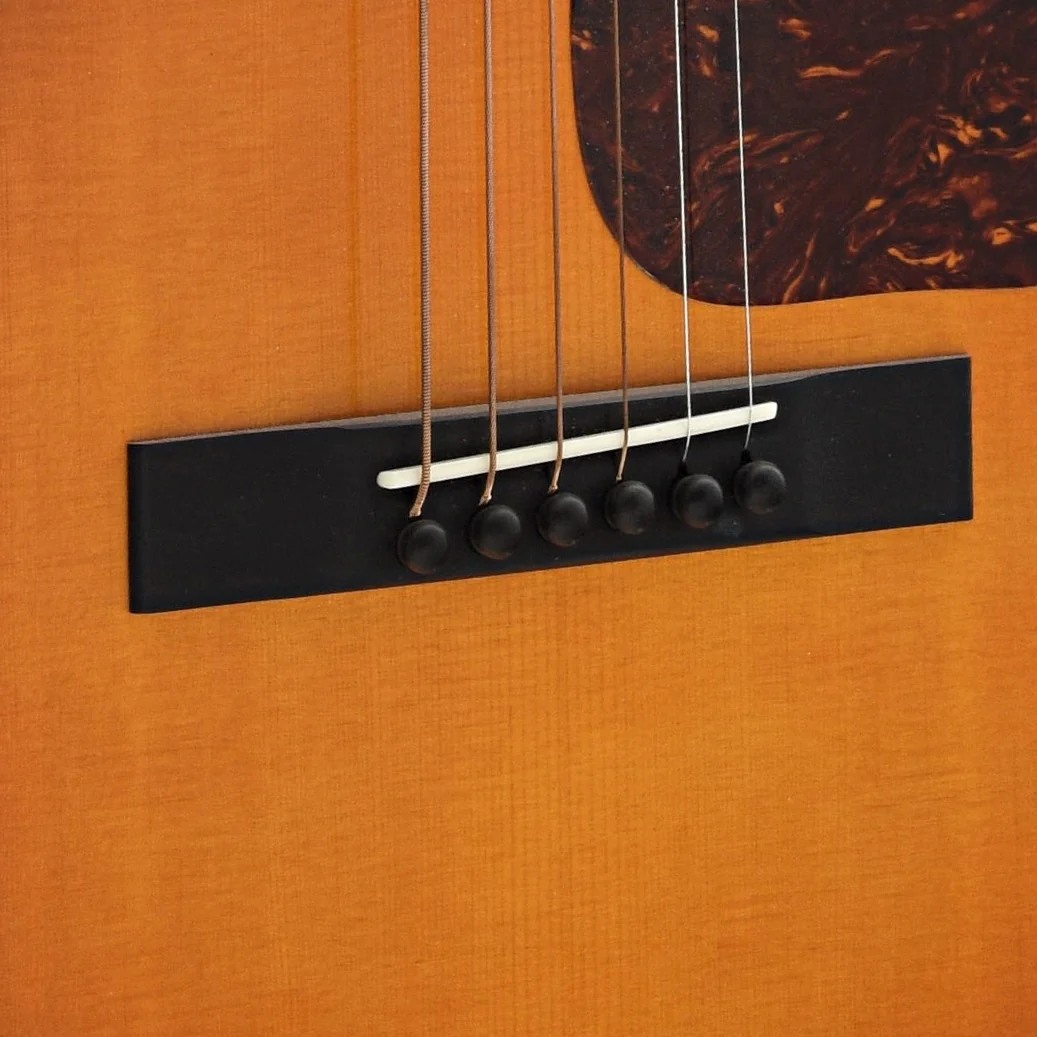 Waterloo WL-JK Dlx Jumbo King Deluxe Acoustic Guitar & Case - Image 4