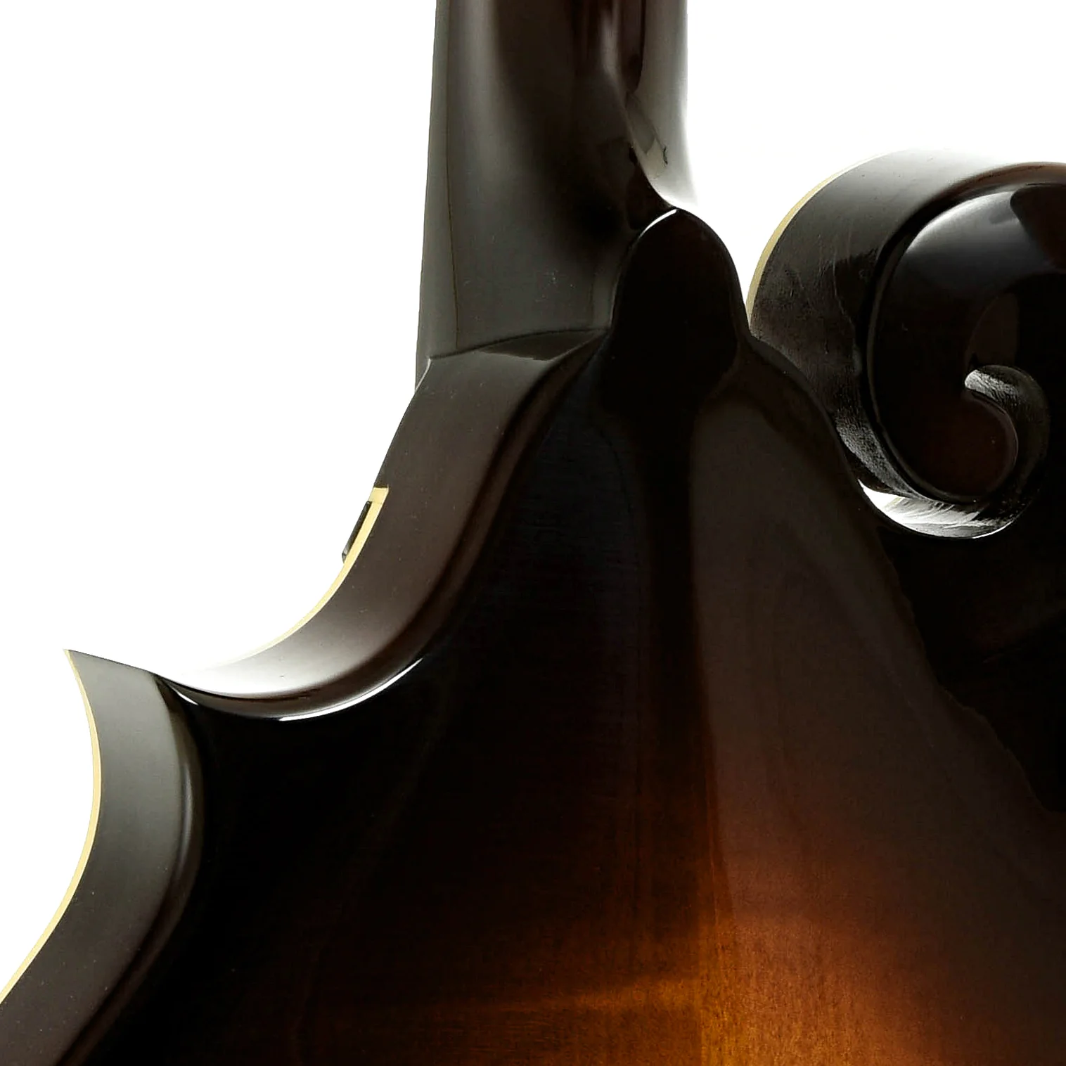 Weber Bitterroot Custom F-Style Mandolin (2015) - Image 10