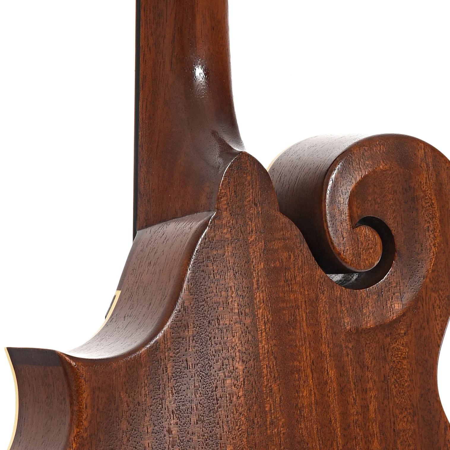 Weber Bitterroot Octave F-Model Mandolin (2011) - Image 10