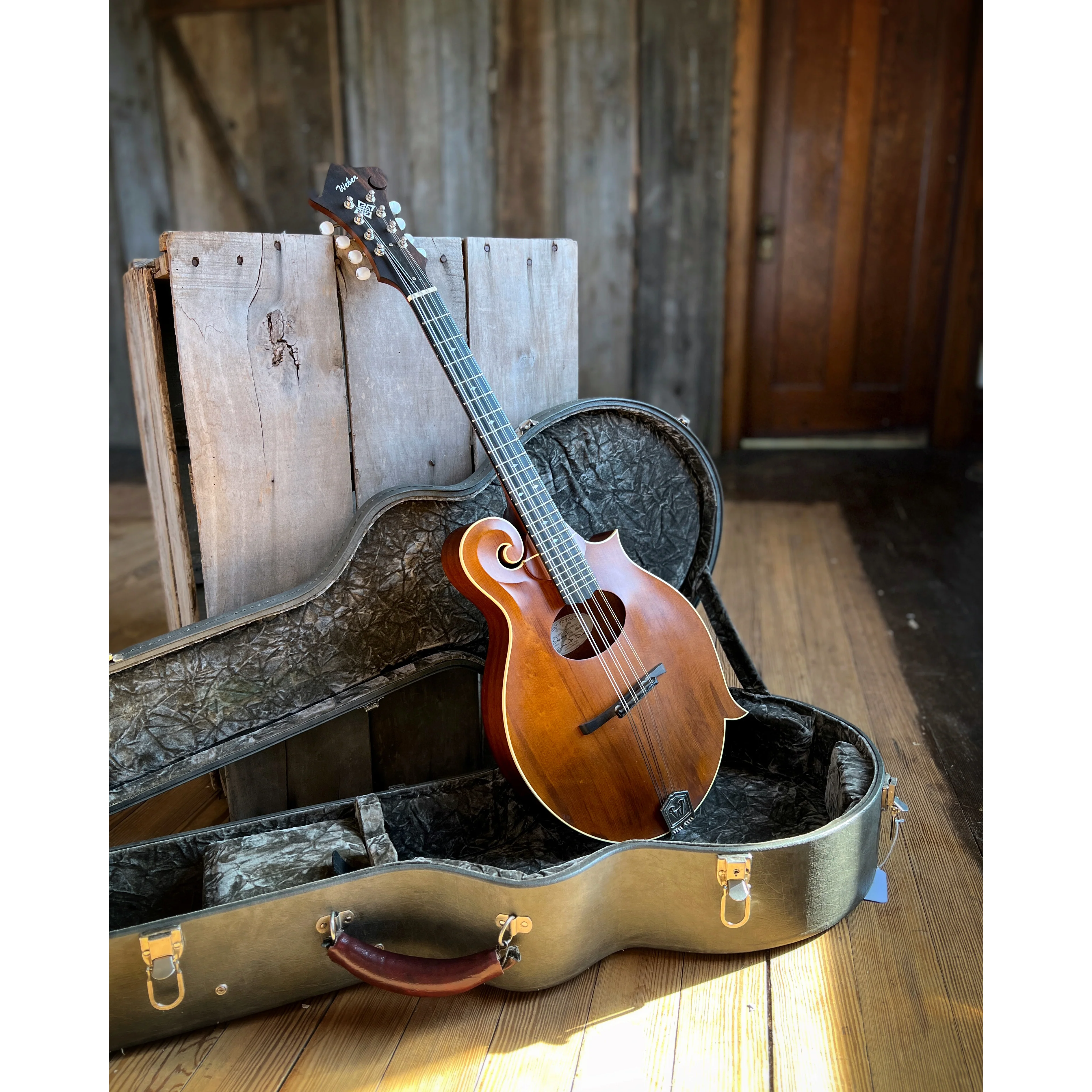Weber Bitterroot Octave F-Model Mandolin (2011) - Image 2