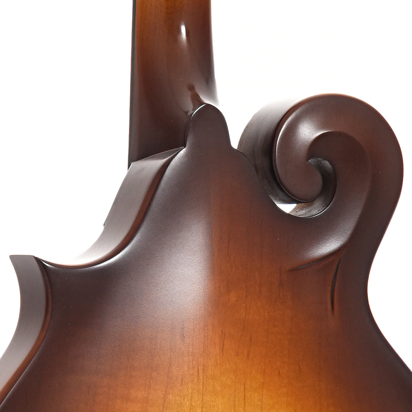 Weber Gallatin LTD F Mandolin (2017) - Image 10