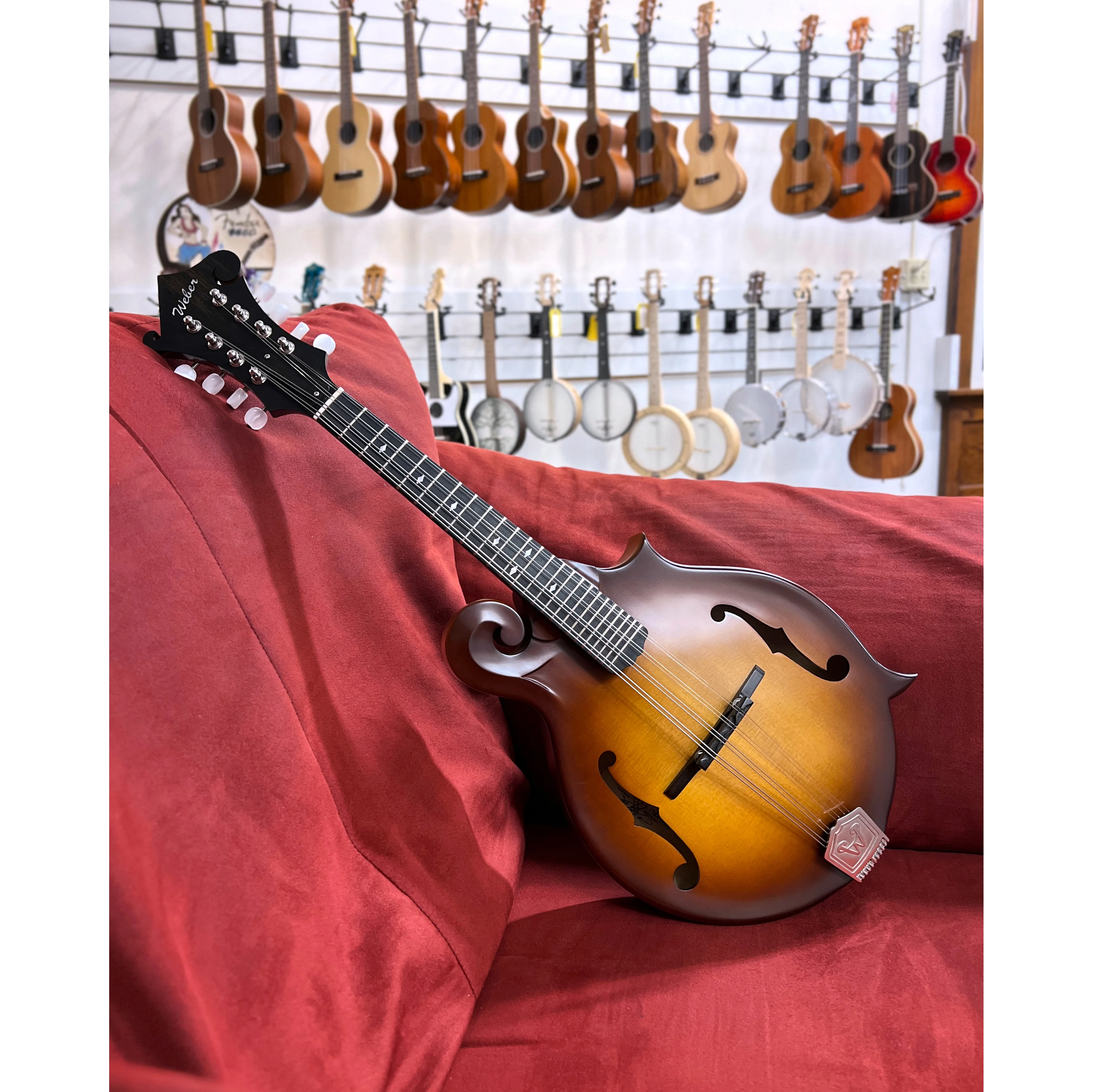 Weber Gallatin LTD F Mandolin (2017) - Image 2