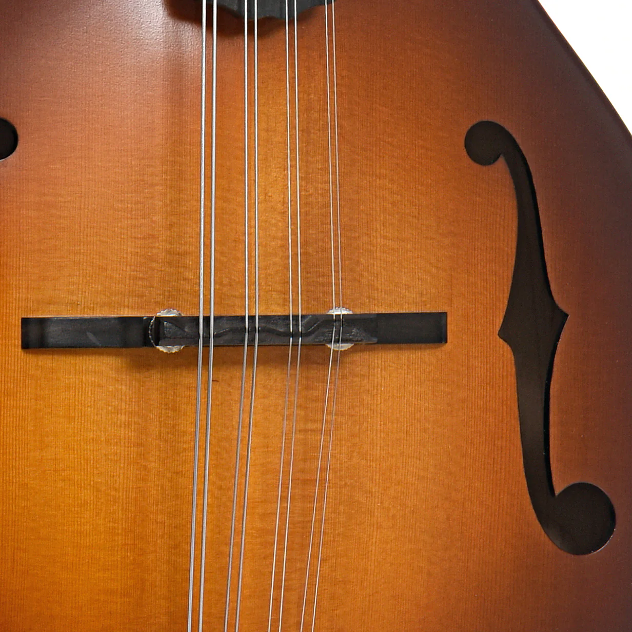 Weber Gallatin LTD F Mandolin (2017) - Image 6