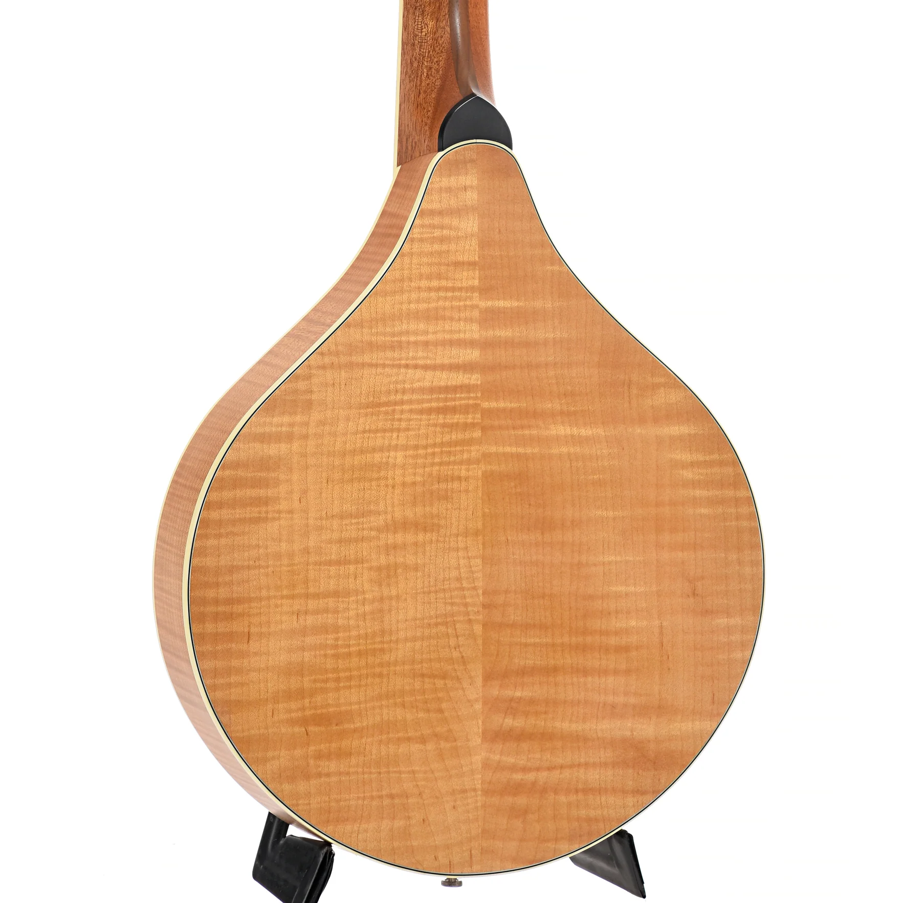 Weber Sage #2 Octave Mandolin (2008) - Image 10