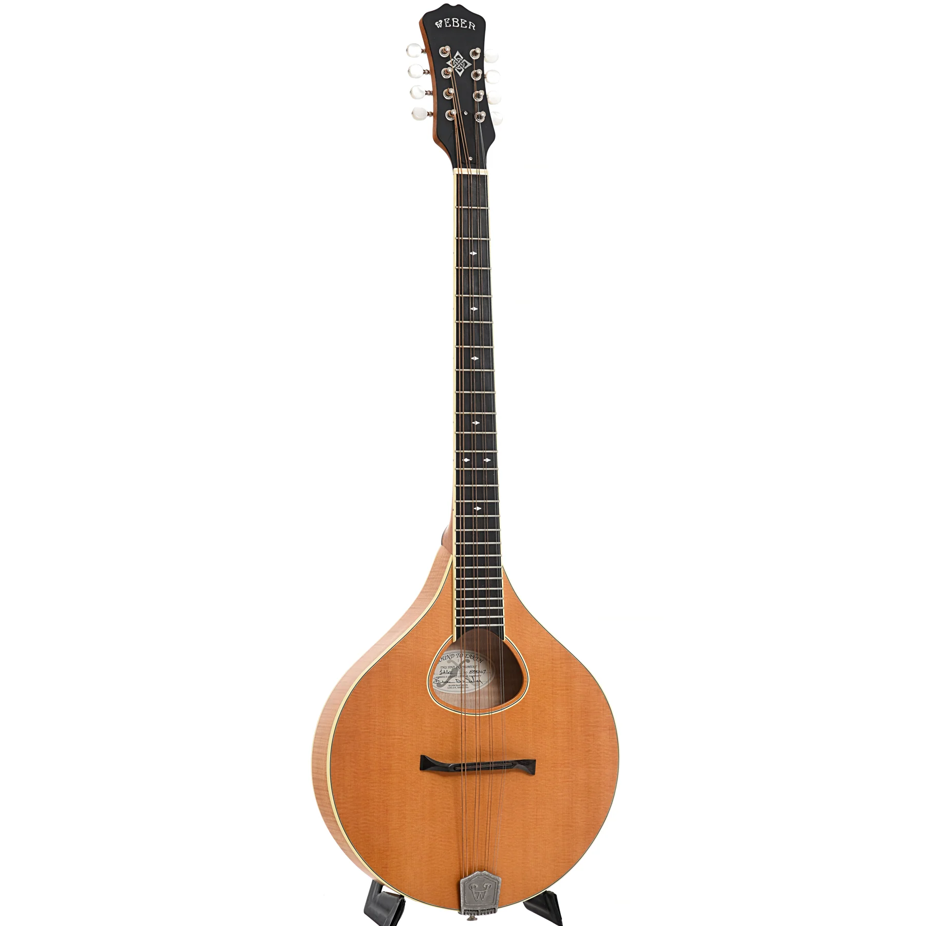 Weber Sage #2 Octave Mandolin (2008) - Image 2