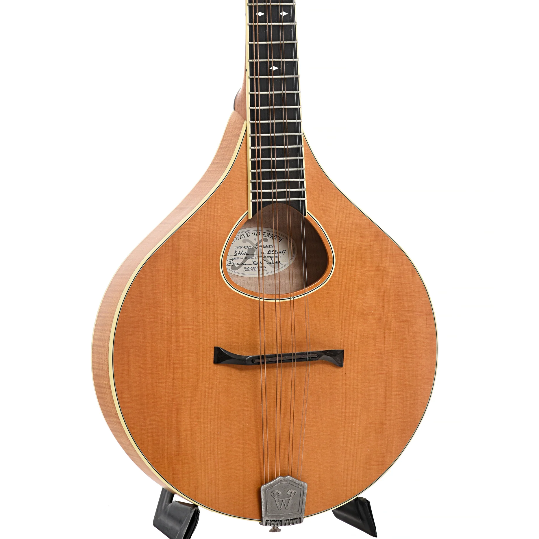 Weber Sage #2 Octave Mandolin (2008) - Image 3