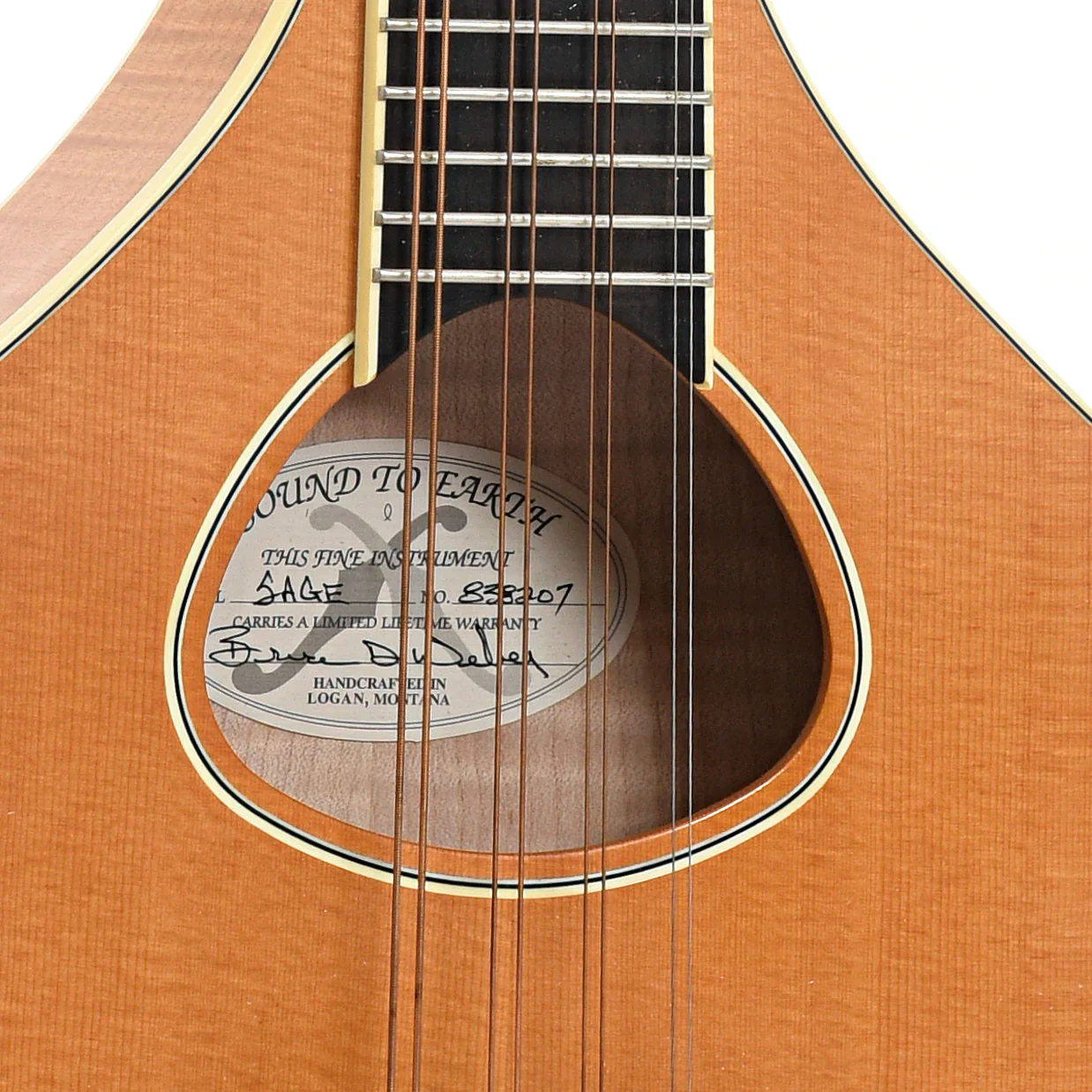 Weber Sage #2 Octave Mandolin (2008) - Image 5