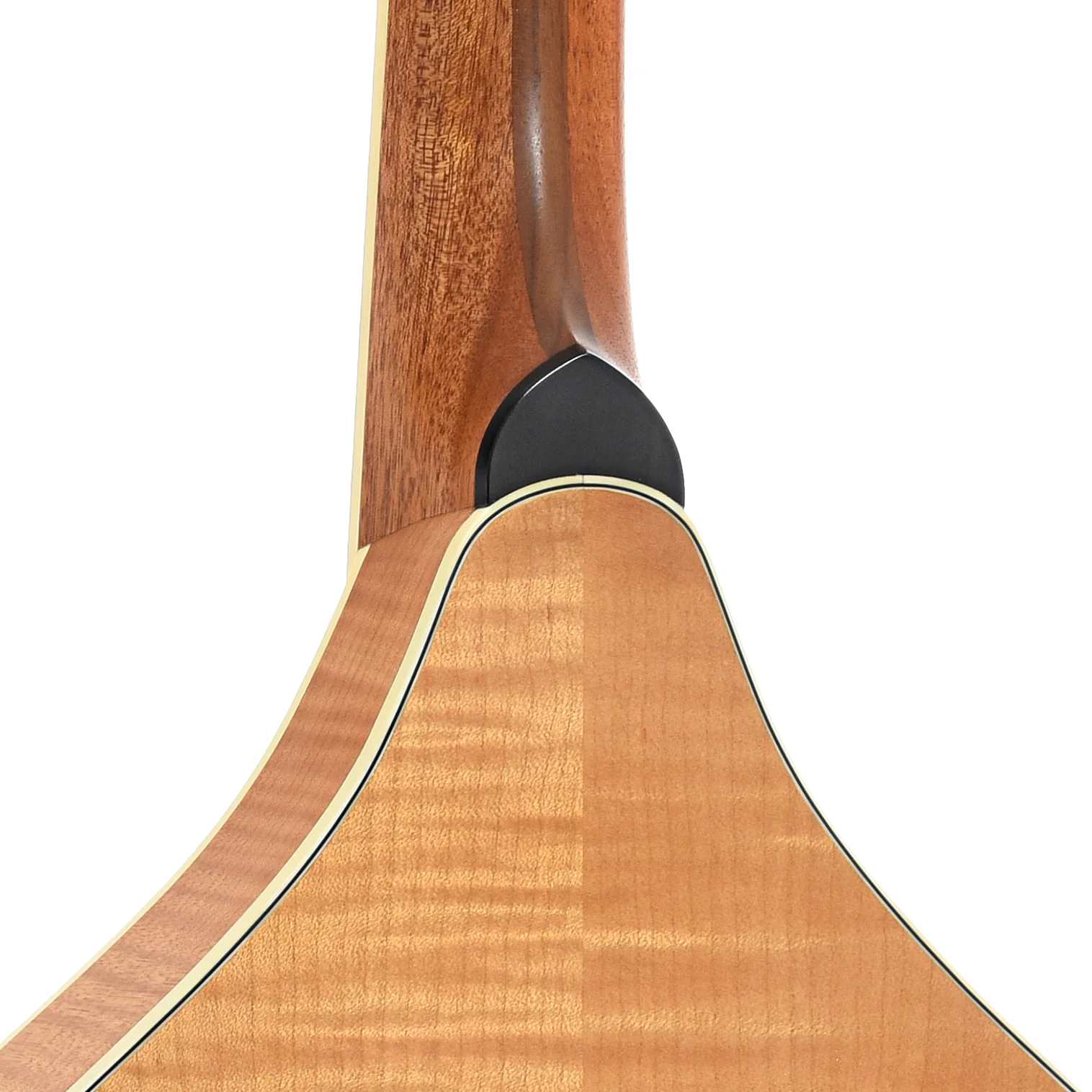 Weber Sage #2 Octave Mandolin (2008) - Image 9