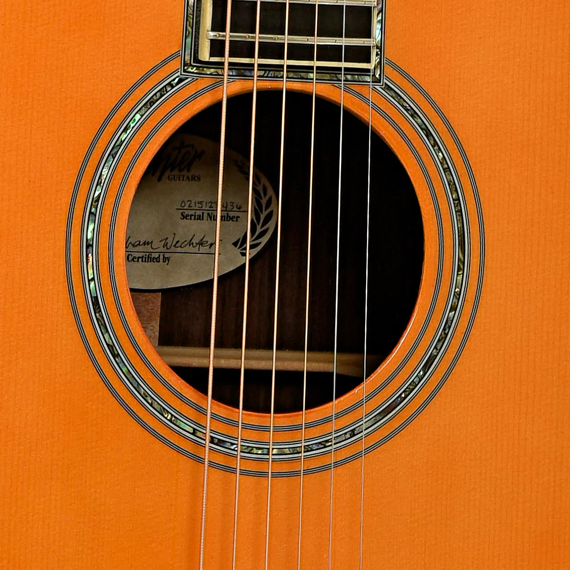 Wechter DN-8142 Dreadnought Acoustic Guitar (c.2010) - Image 6