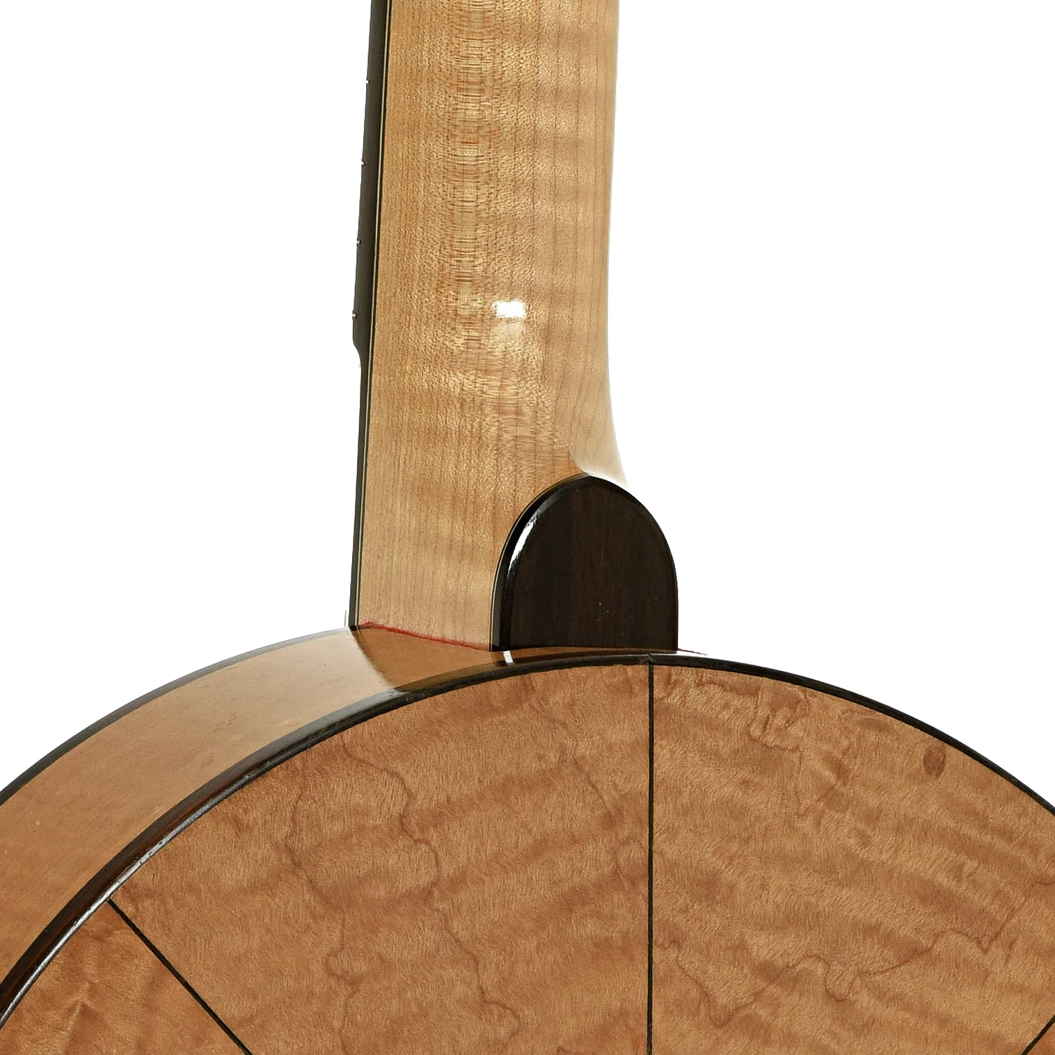 Weymann Conversion Open Back Banjo (1910s) - Image 12