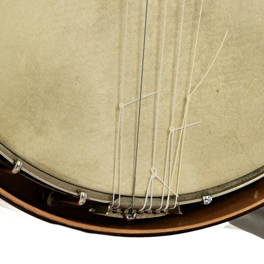 Weymann Conversion Open Back Banjo (1910s) - Image 5