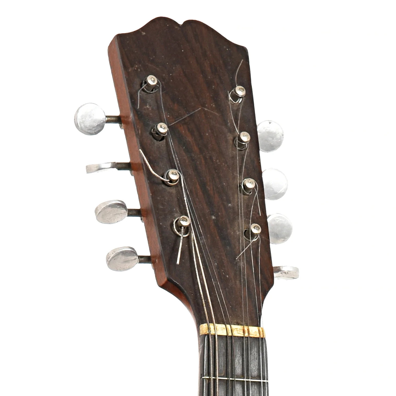 Weymann No. 15 Mandolute (c.1920) - Image 7