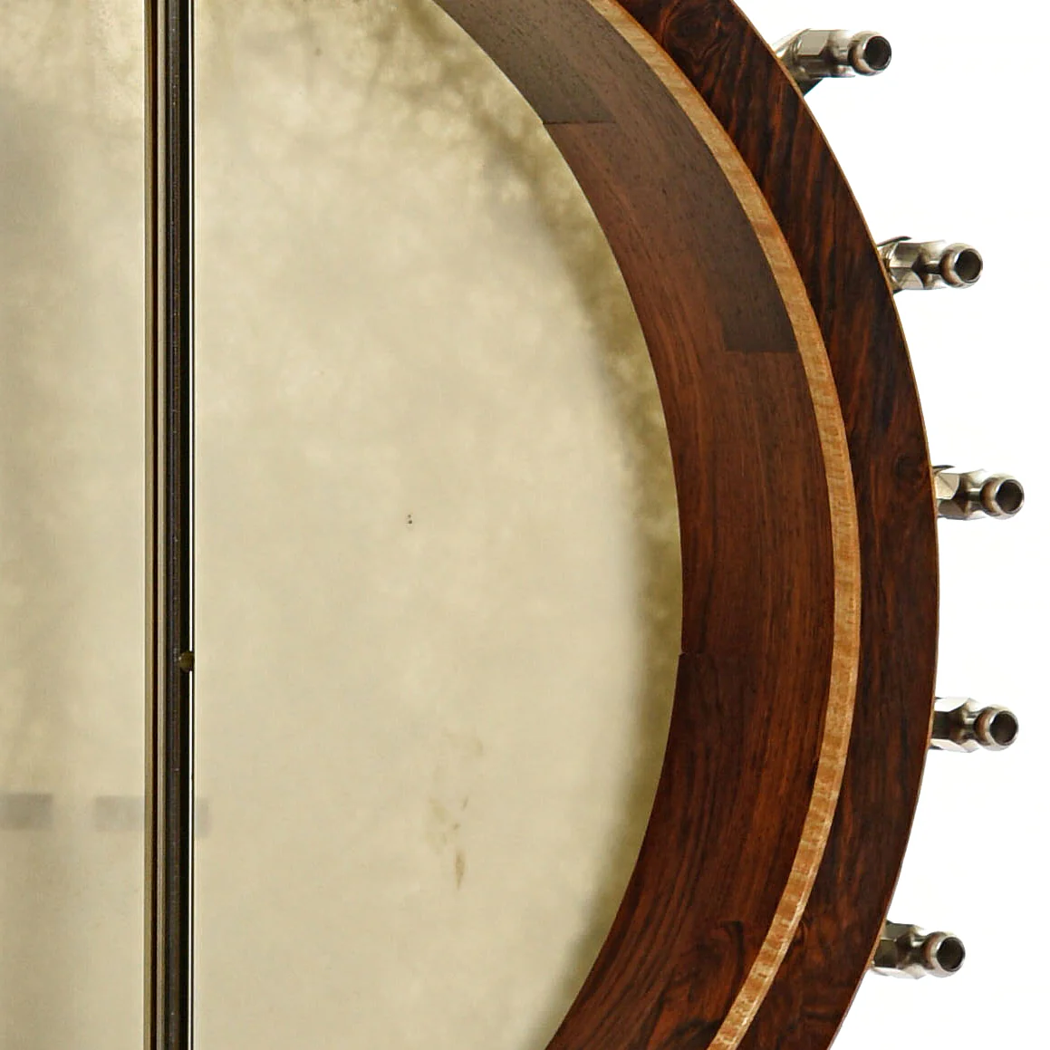 Wildwood Brazilian Custom Dragon Open Back Banjo (2004) - Image 10