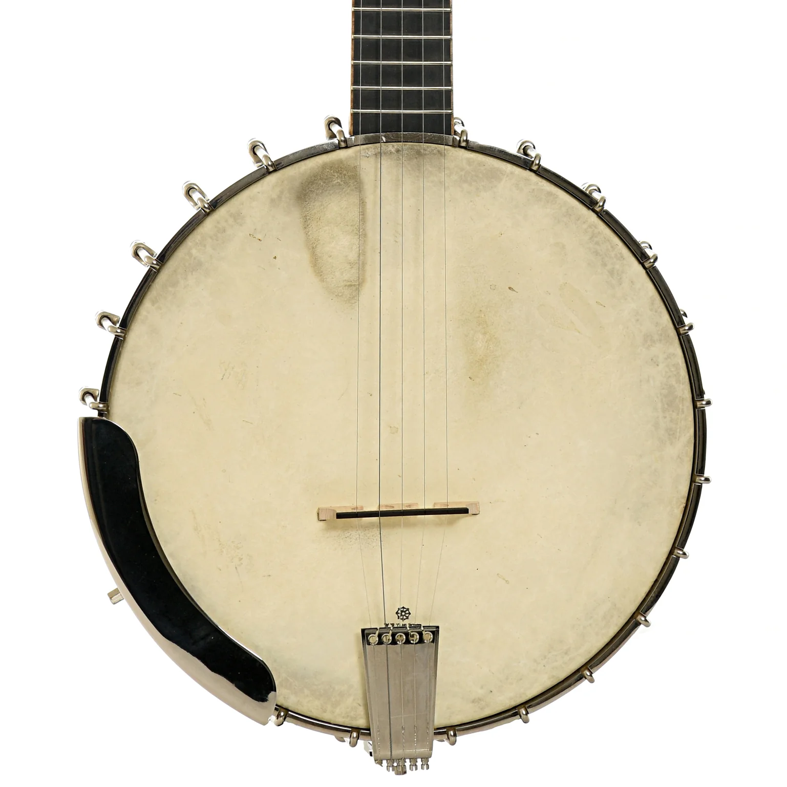 Wildwood Brazilian Custom Dragon Open Back Banjo (2004) - Image 14