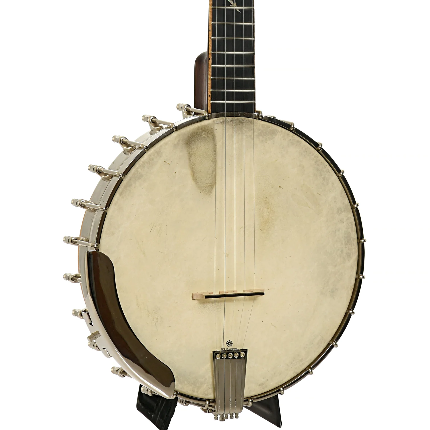 Wildwood Brazilian Custom Dragon Open Back Banjo (2004) - Image 2
