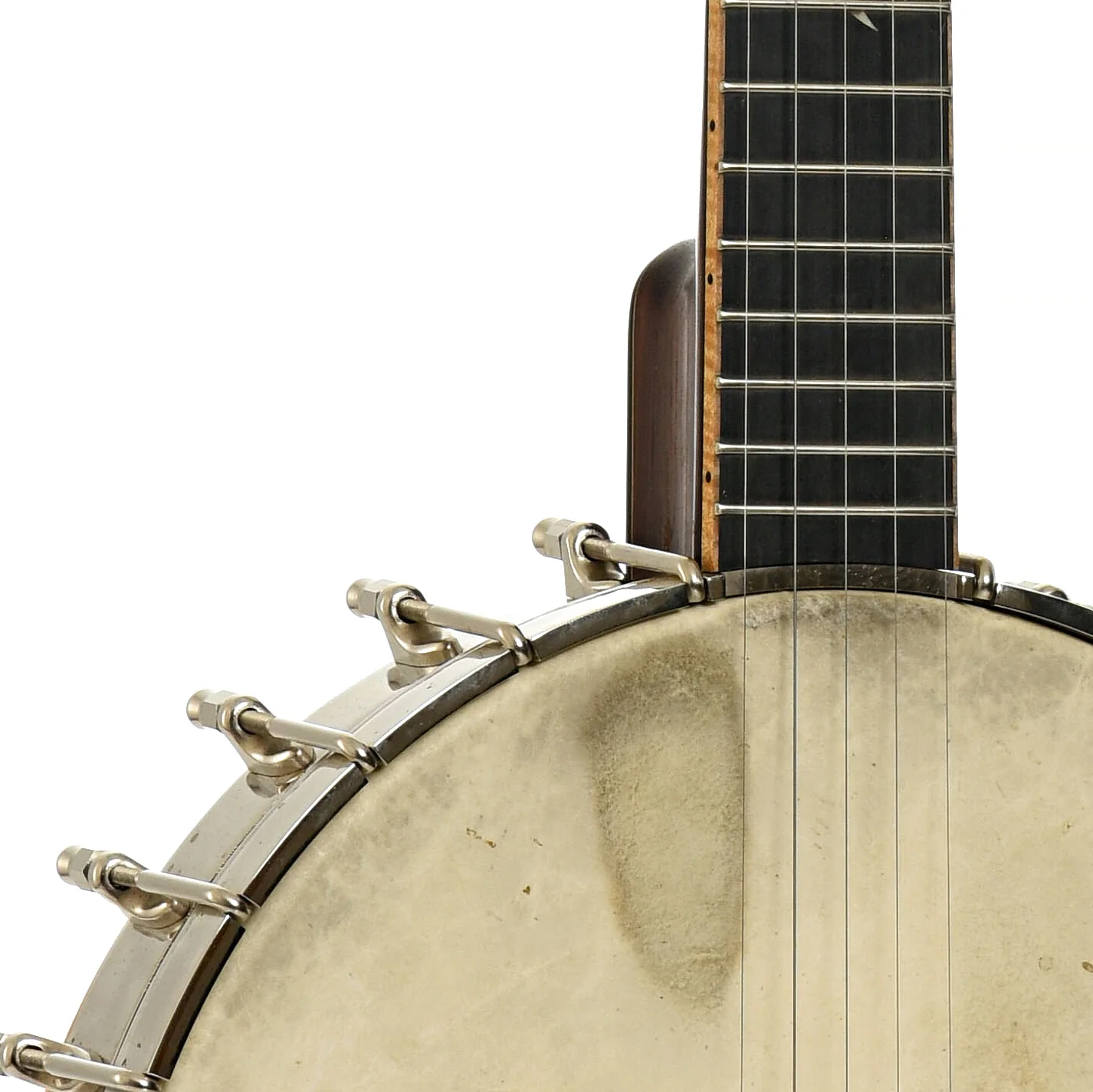 Wildwood Brazilian Custom Dragon Open Back Banjo (2004) - Image 5