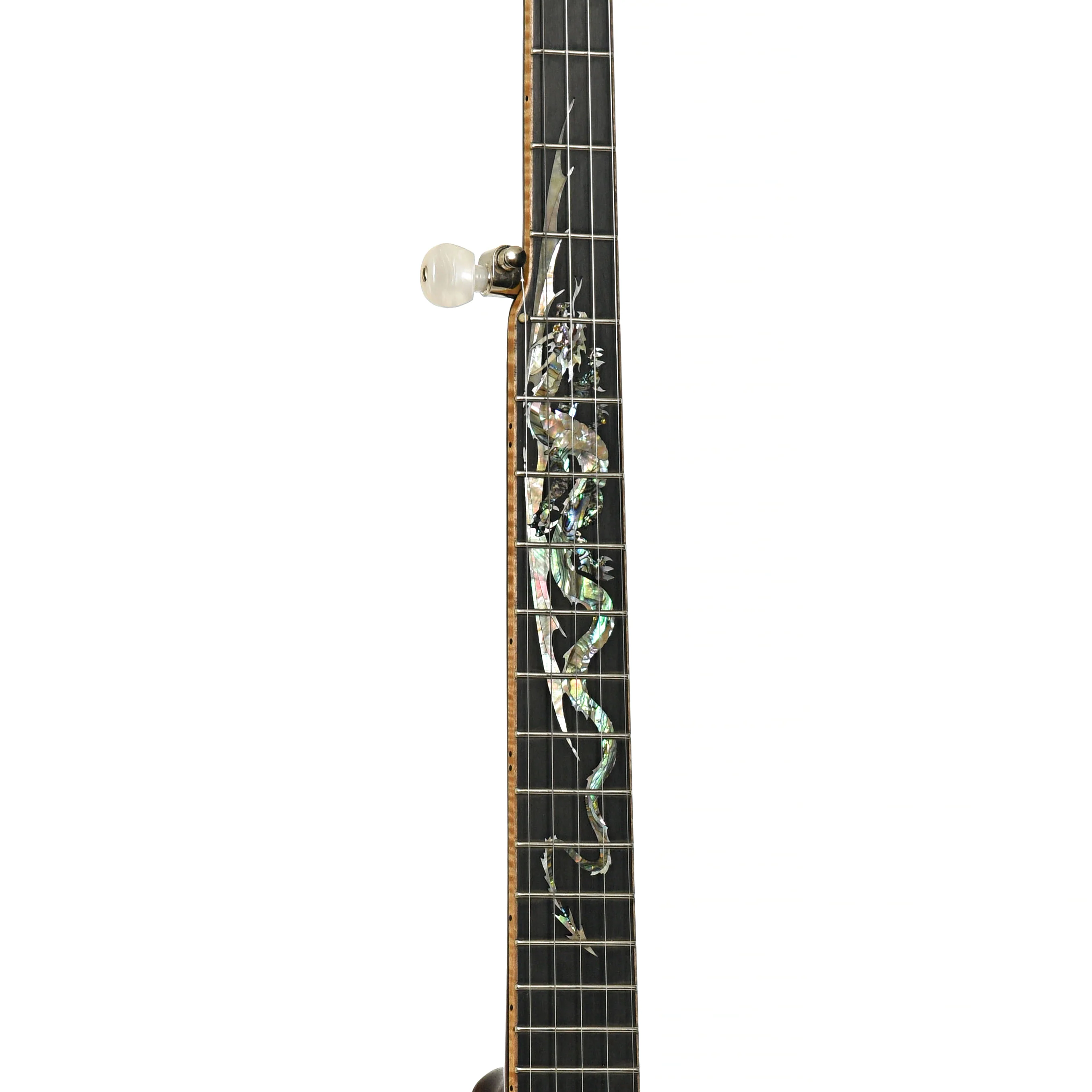 Wildwood Brazilian Custom Dragon Open Back Banjo (2004) - Image 6