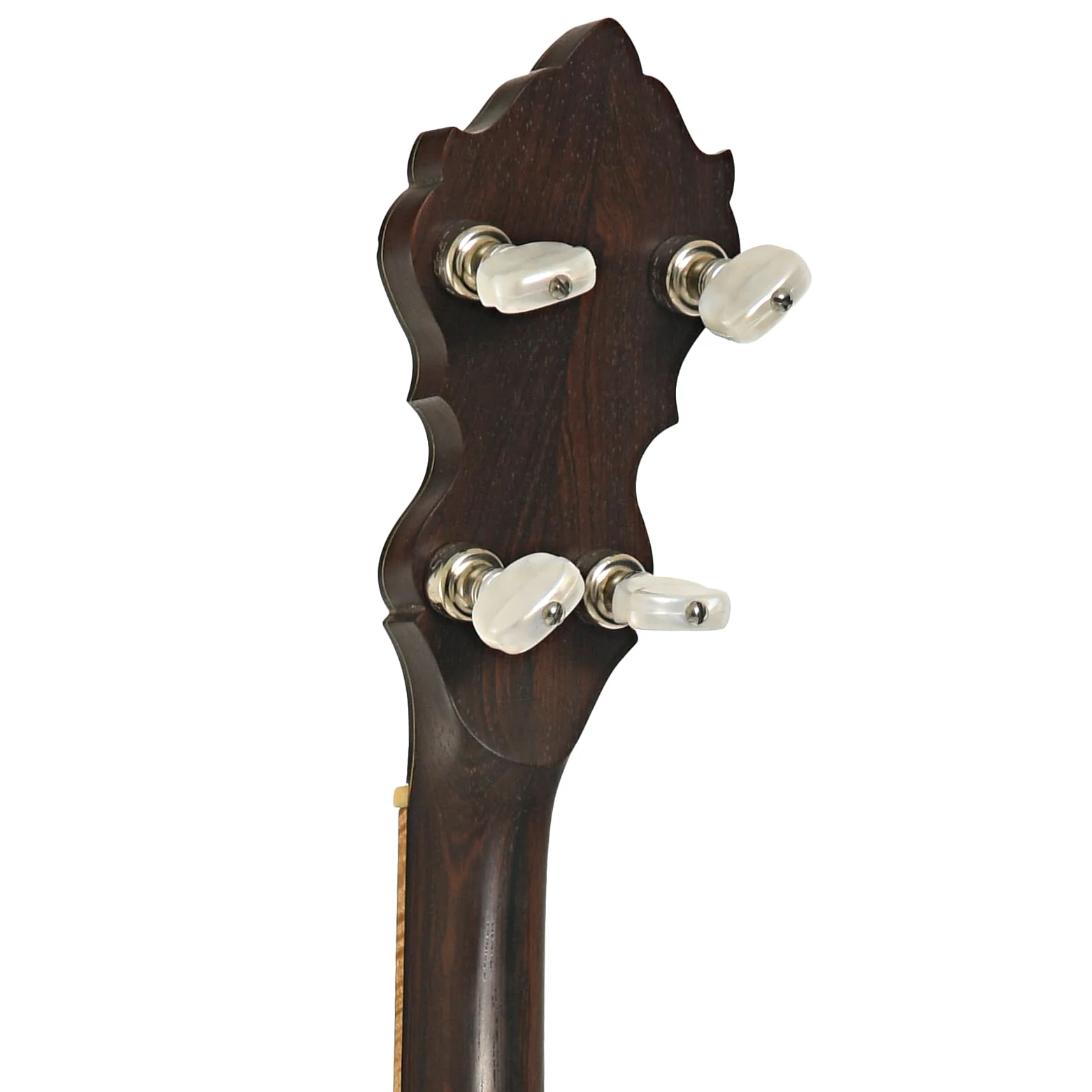 Wildwood Brazilian Custom Dragon Open Back Banjo (2004) - Image 8