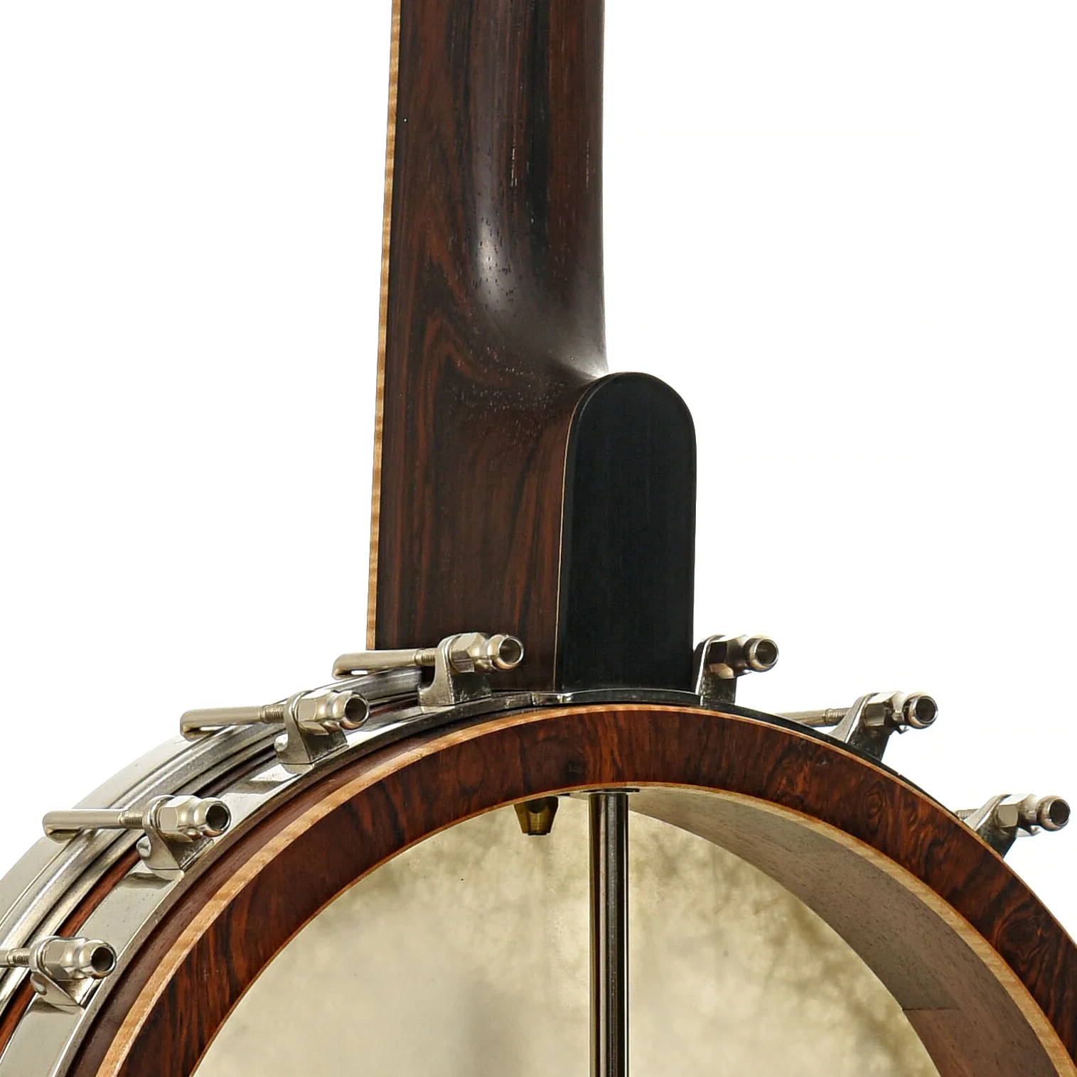 Wildwood Brazilian Custom Dragon Open Back Banjo (2004) - Image 9